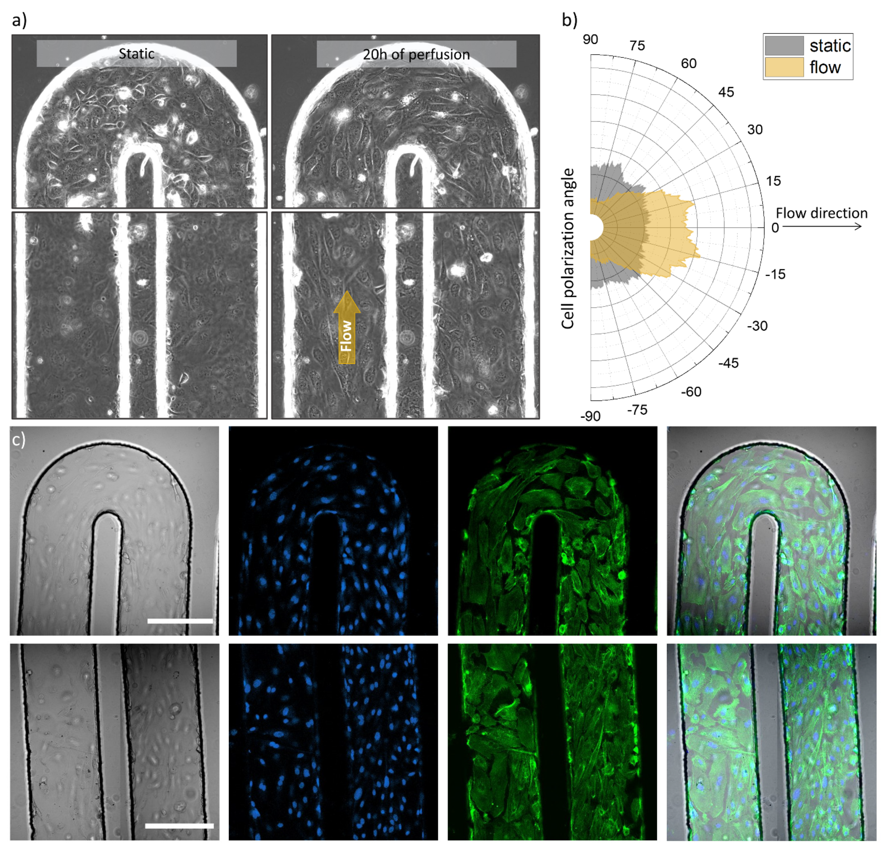 Applnano 02 00021 g003
