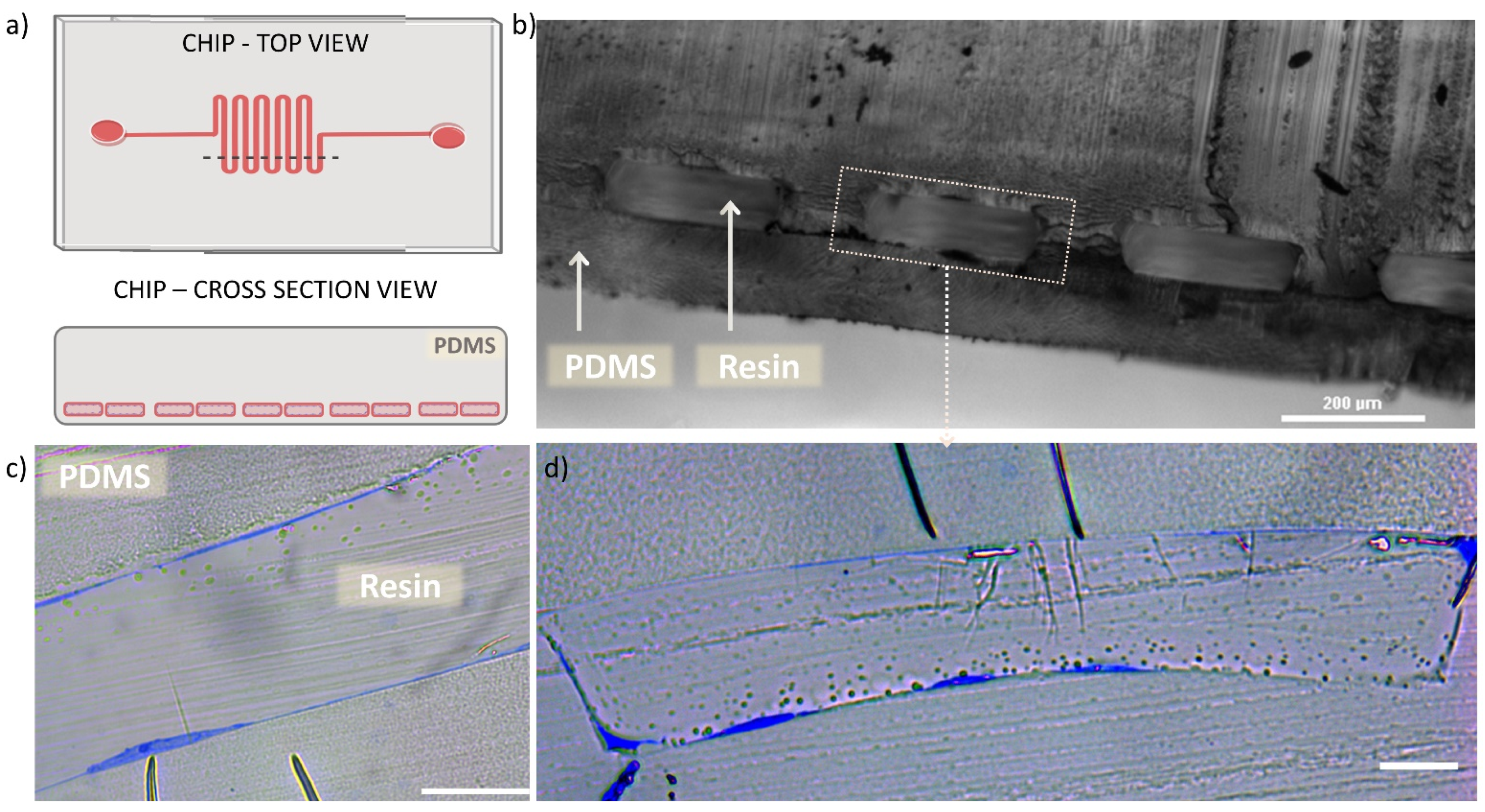 Applnano 02 00021 g004