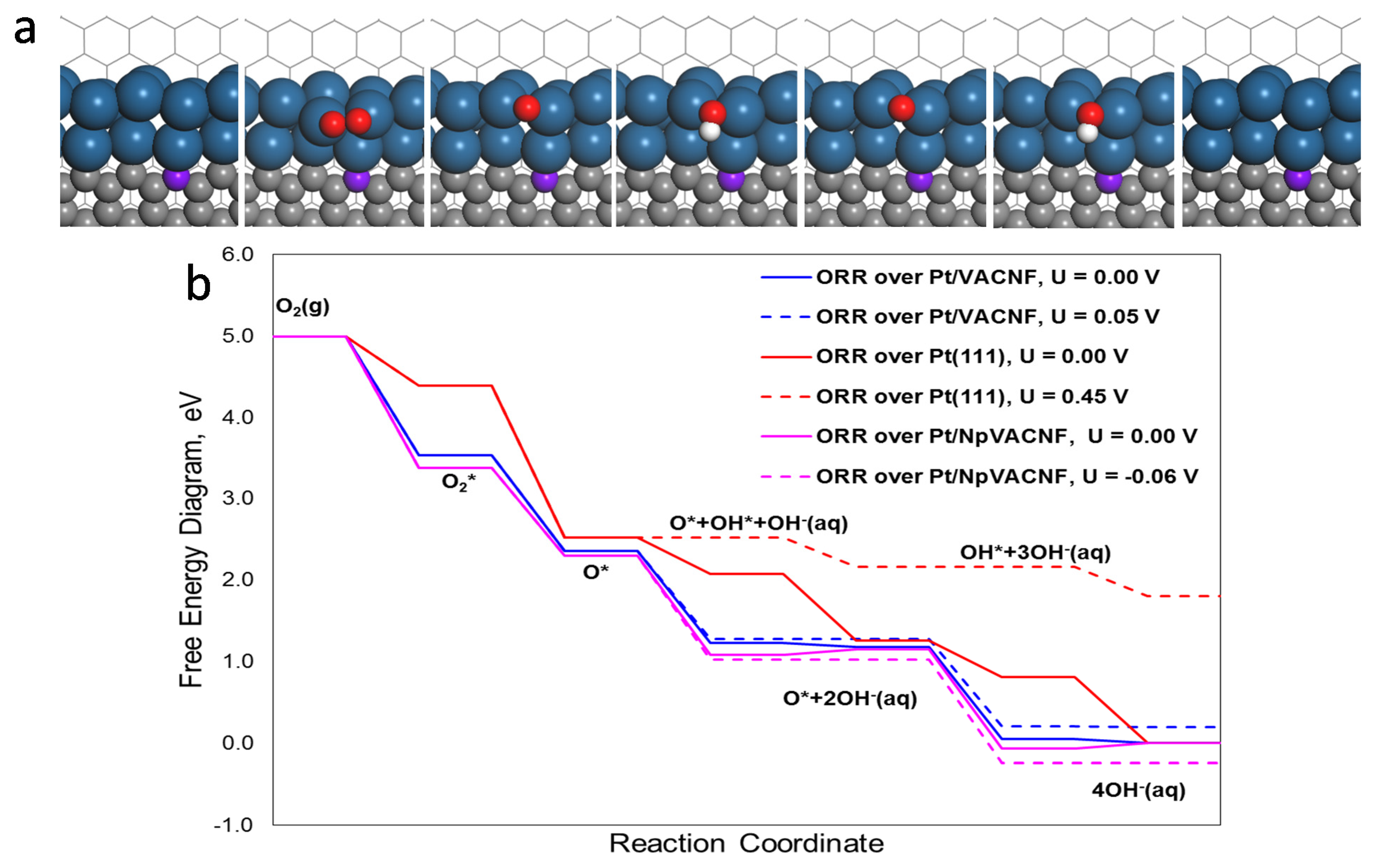 Applnano 02 00022 g005 Applnano 02 00022 g005