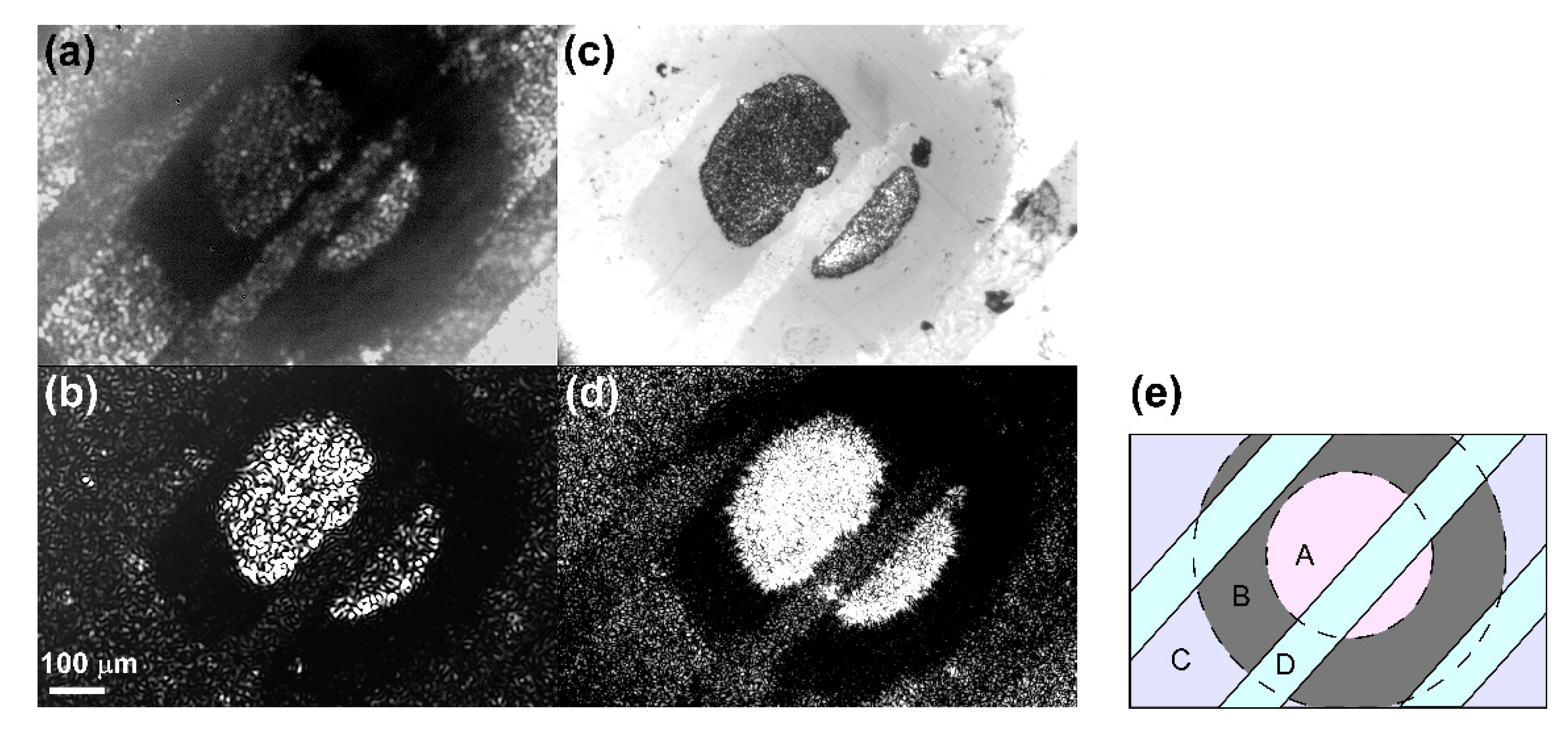 Applnano 02 00023 g007