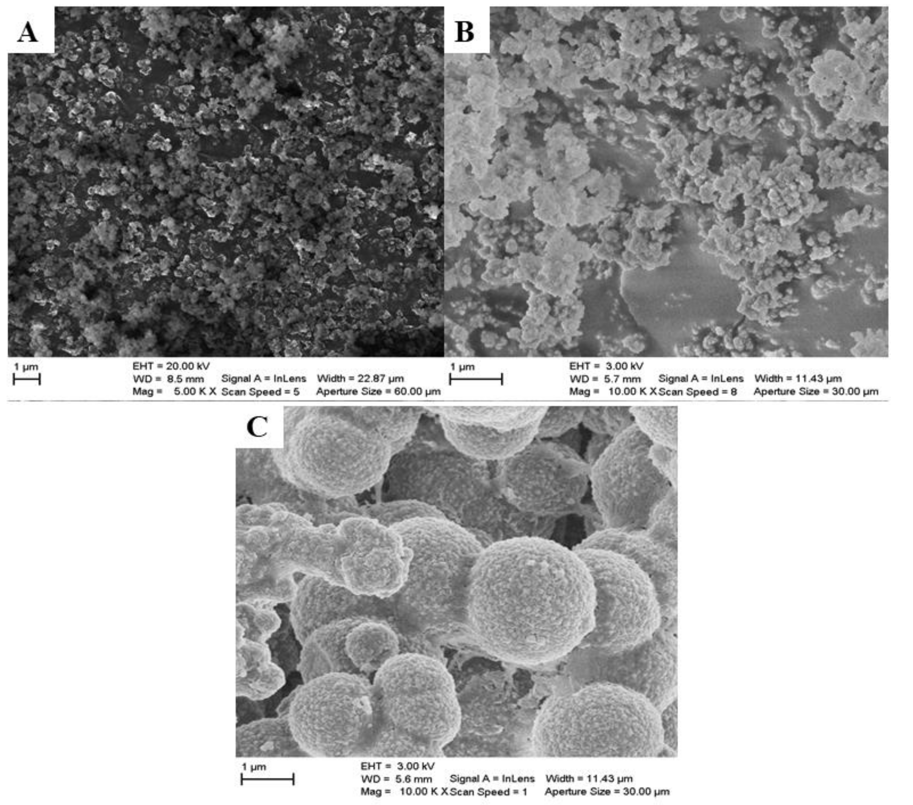 Applnano 02 00025 g003