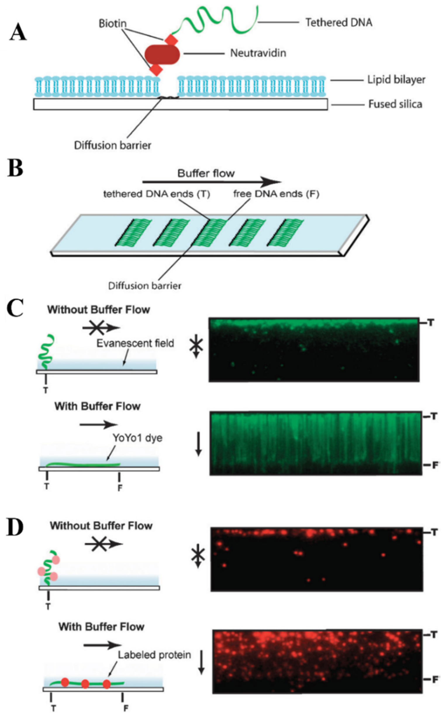 Applnano 03 00002 g002 Applnano 03 00002 g002