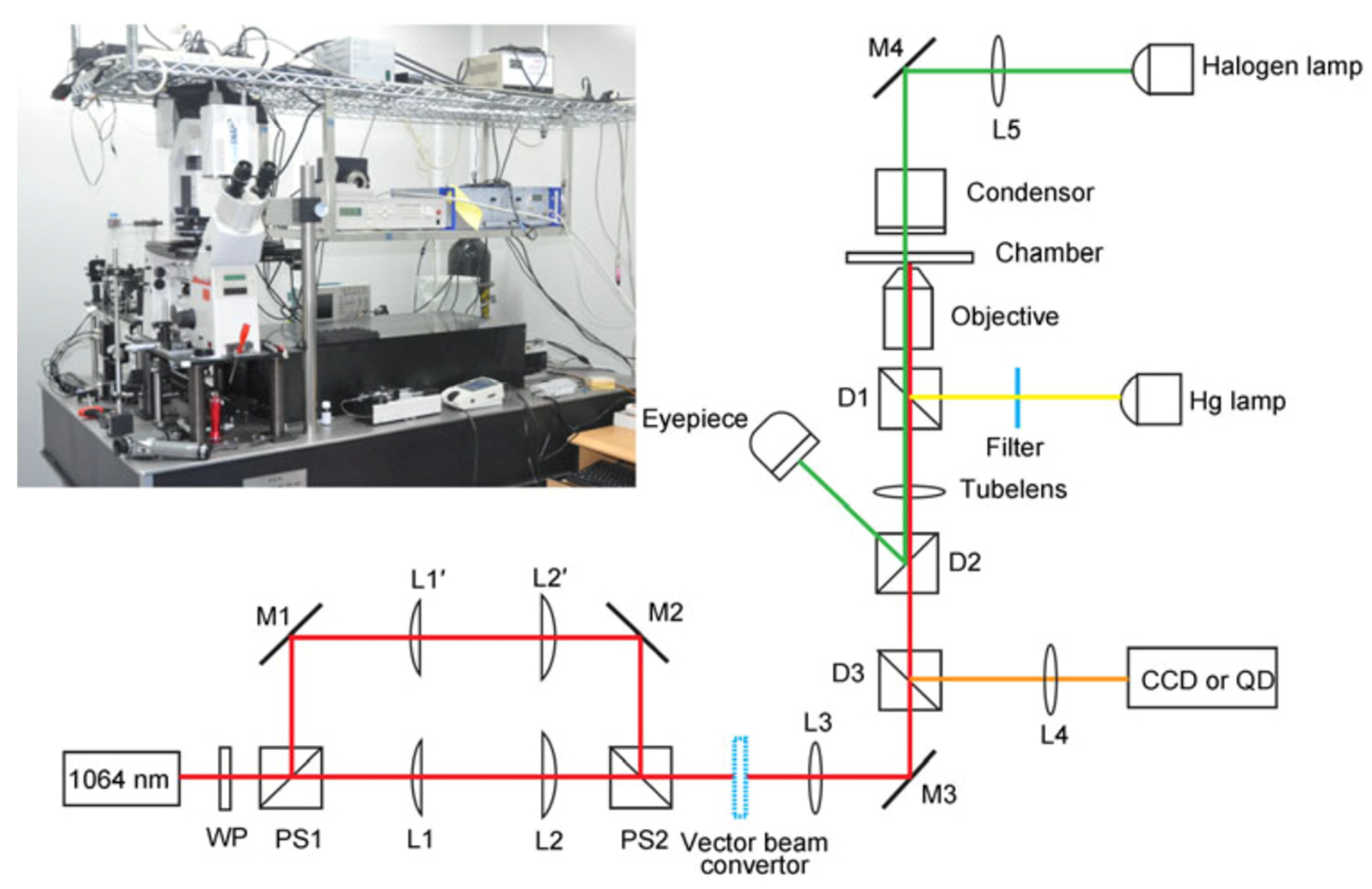 Applnano 03 00004 g001 550