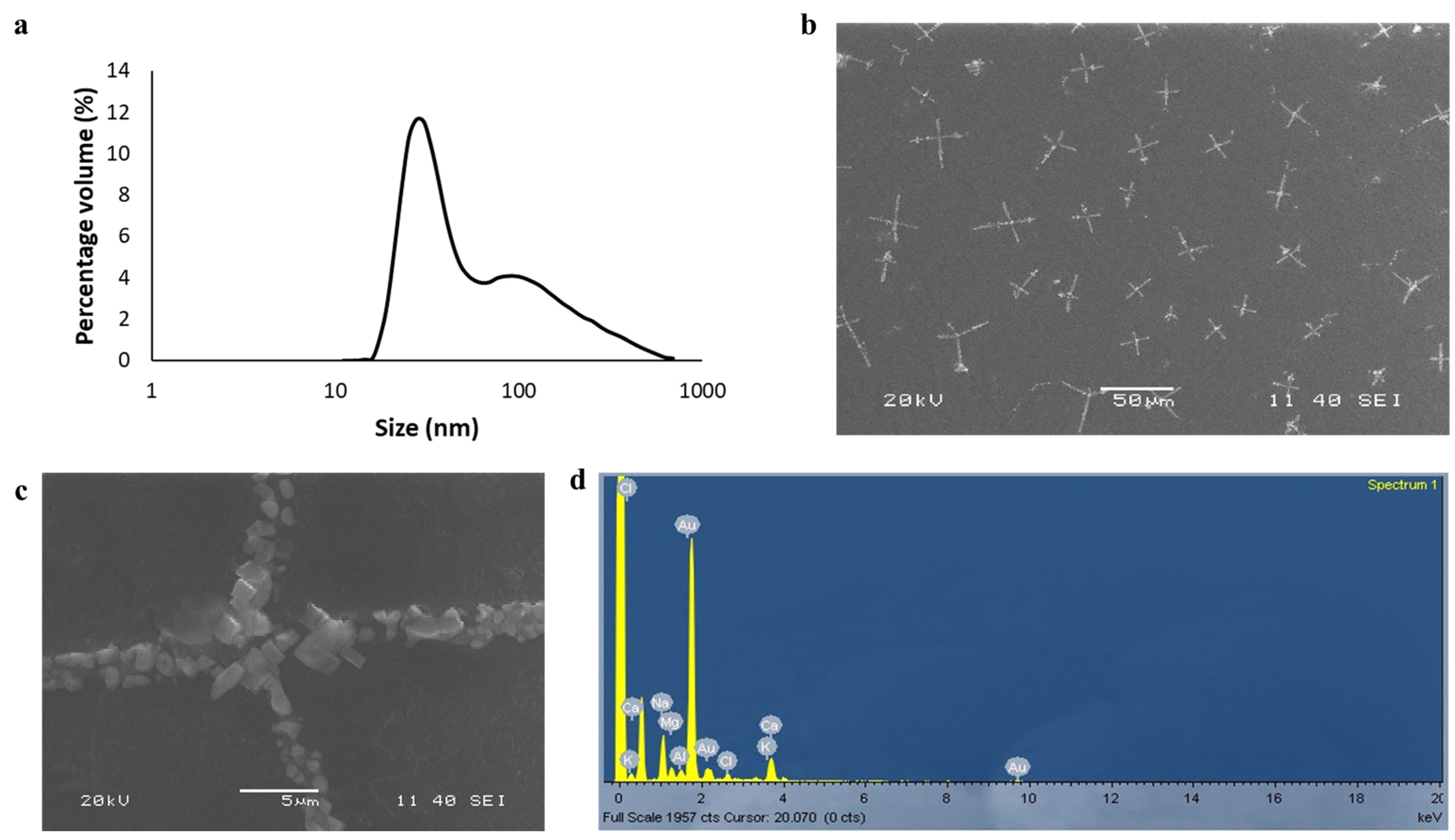 Applnano 03 00010 g001