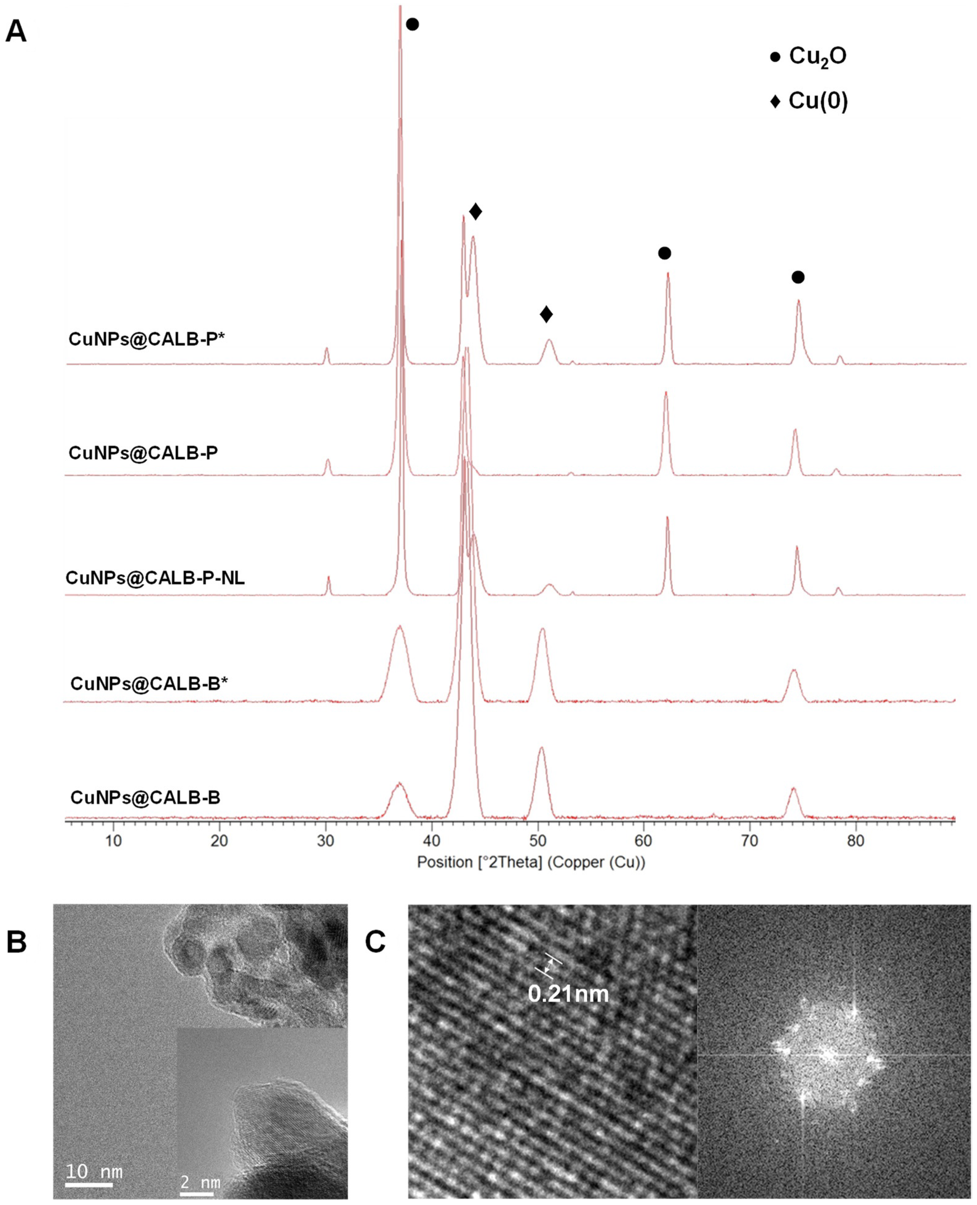 Applnano 03 00011 g002 550