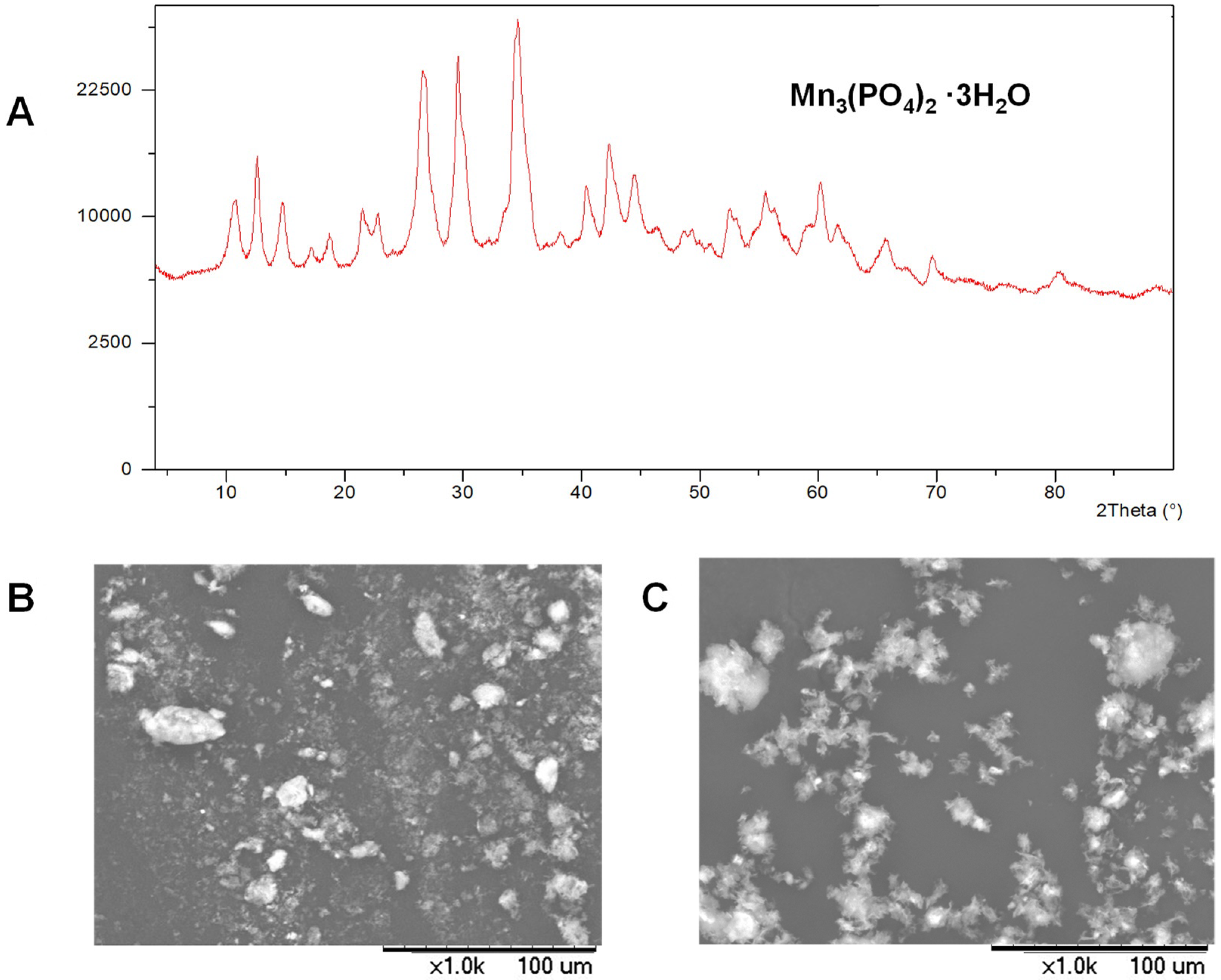 Applnano 03 00011 g003 550