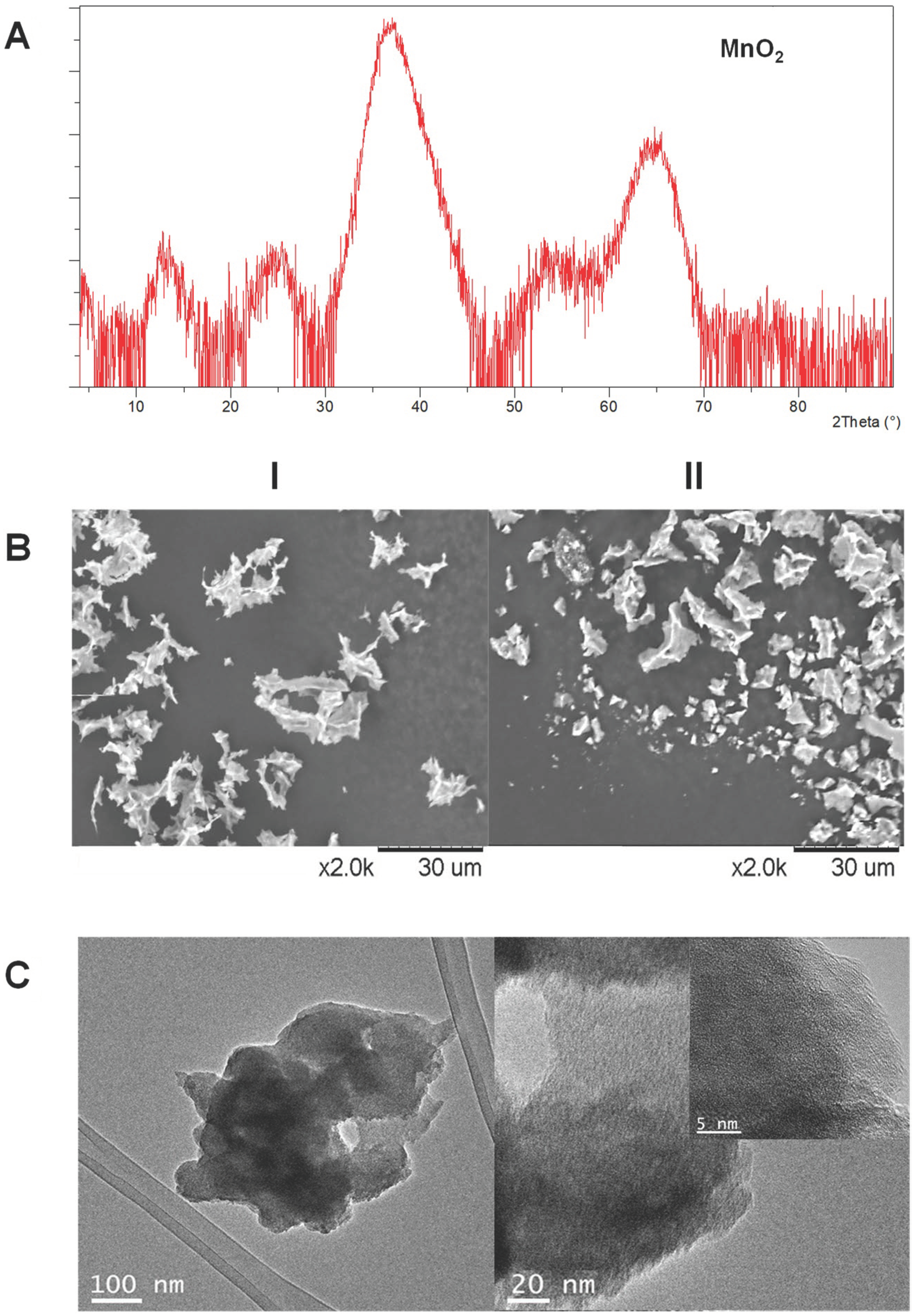 Applnano 03 00011 g004 550