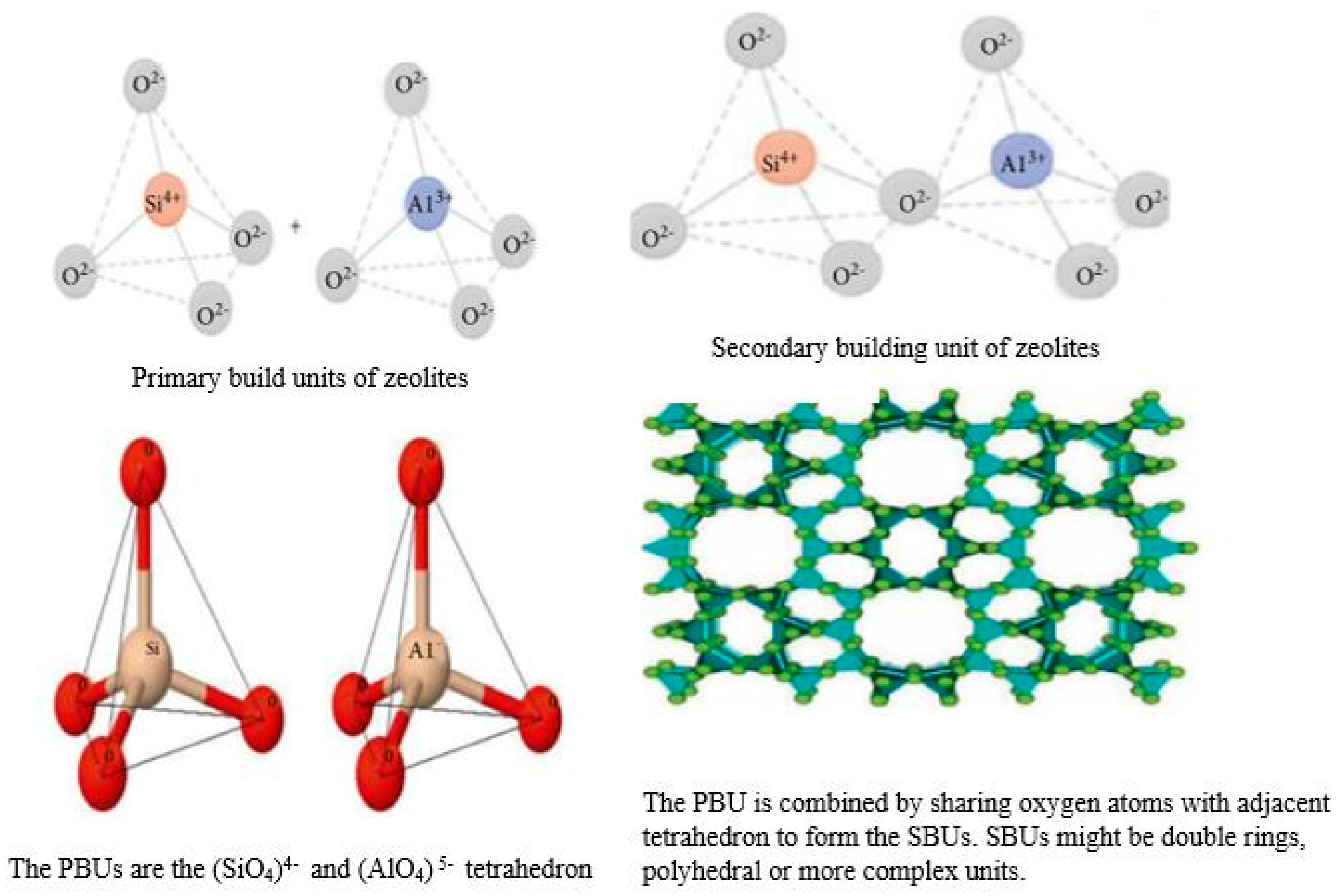 Applnano 03 00013 g003
