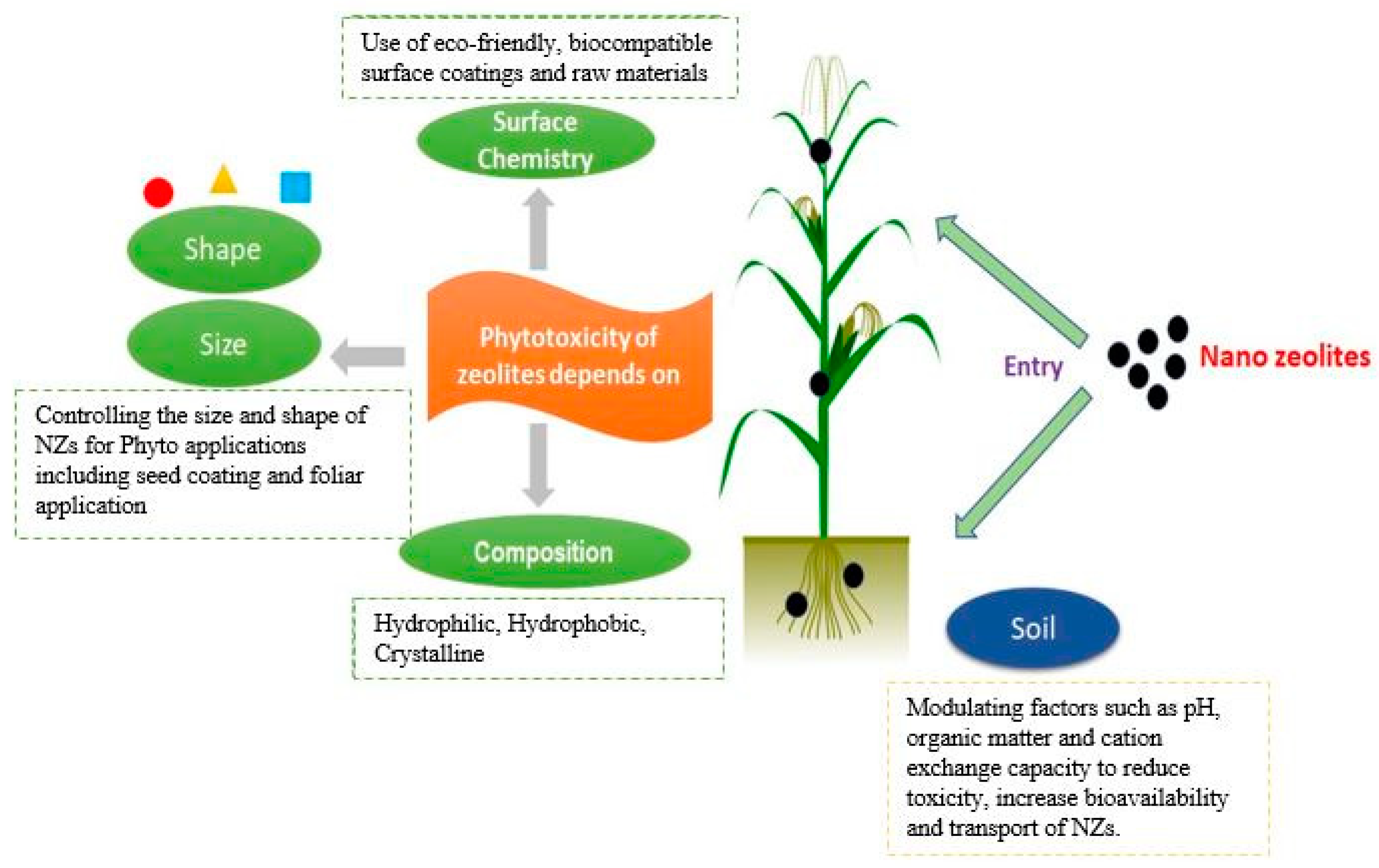 Applied Nano Free FullText Zeolites as Carriers of Nano