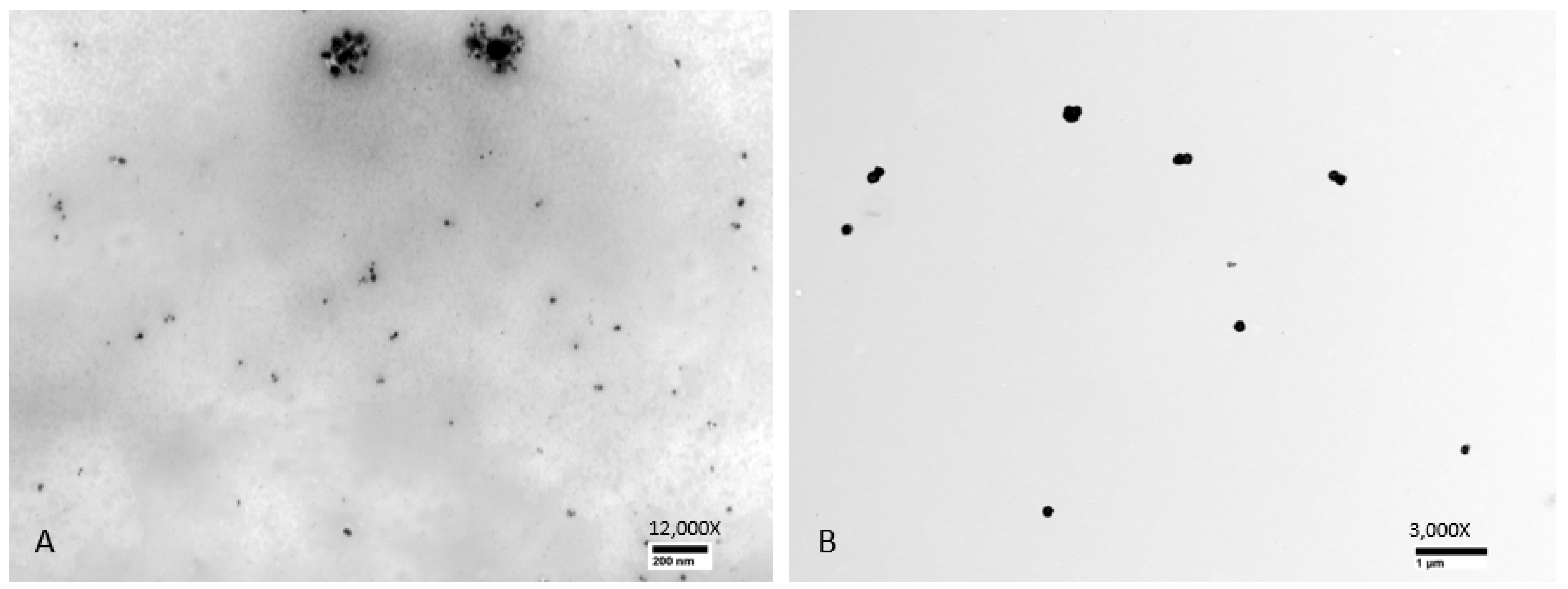 Applnano 03 00014 g005