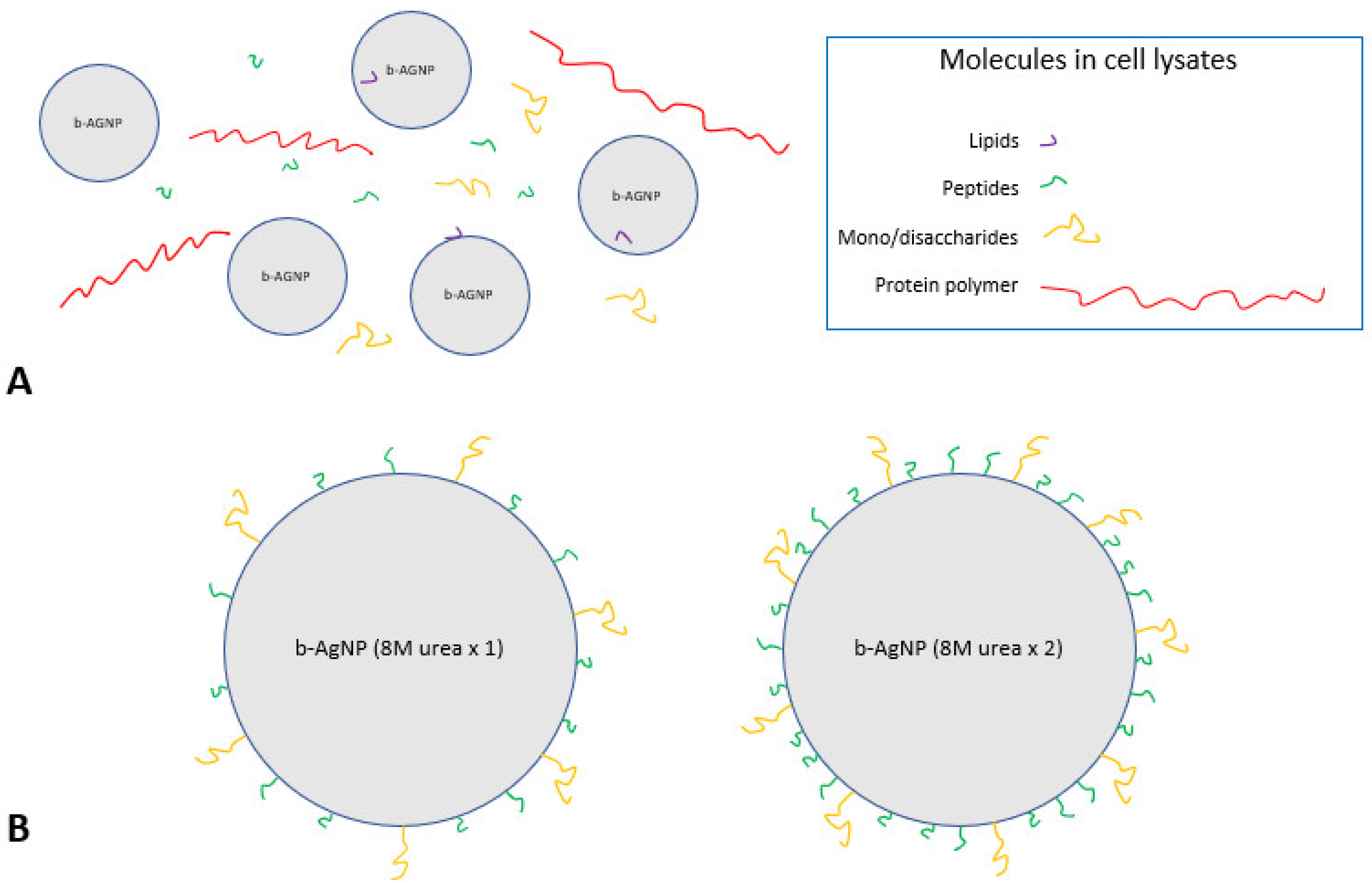 Applnano 03 00014 g007