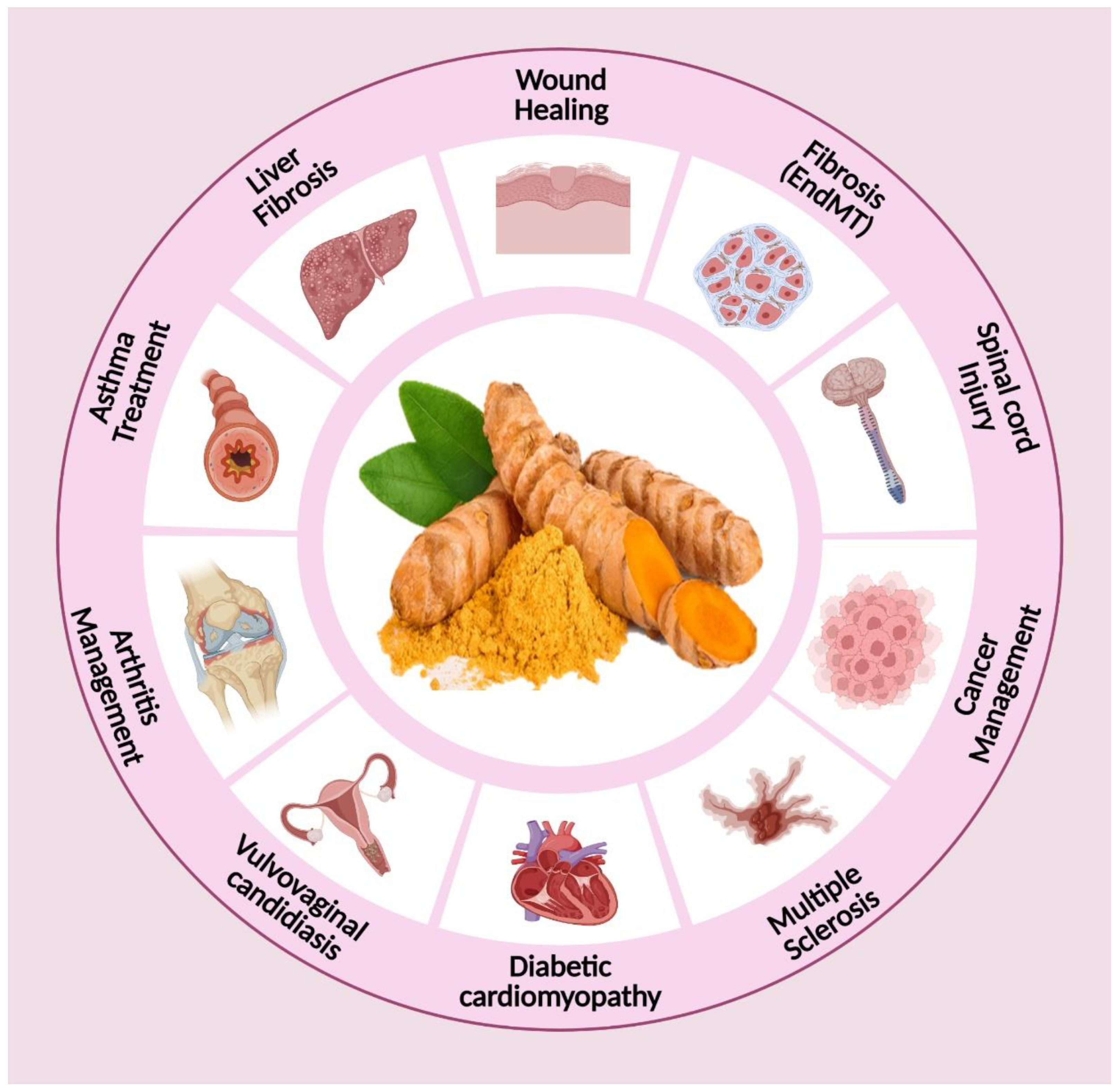 Applnano 03 00015 g002 Applnano 03 00015 g002