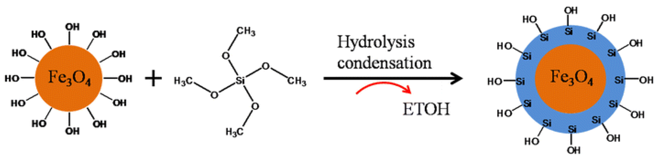 Applnano 04 00006 g004