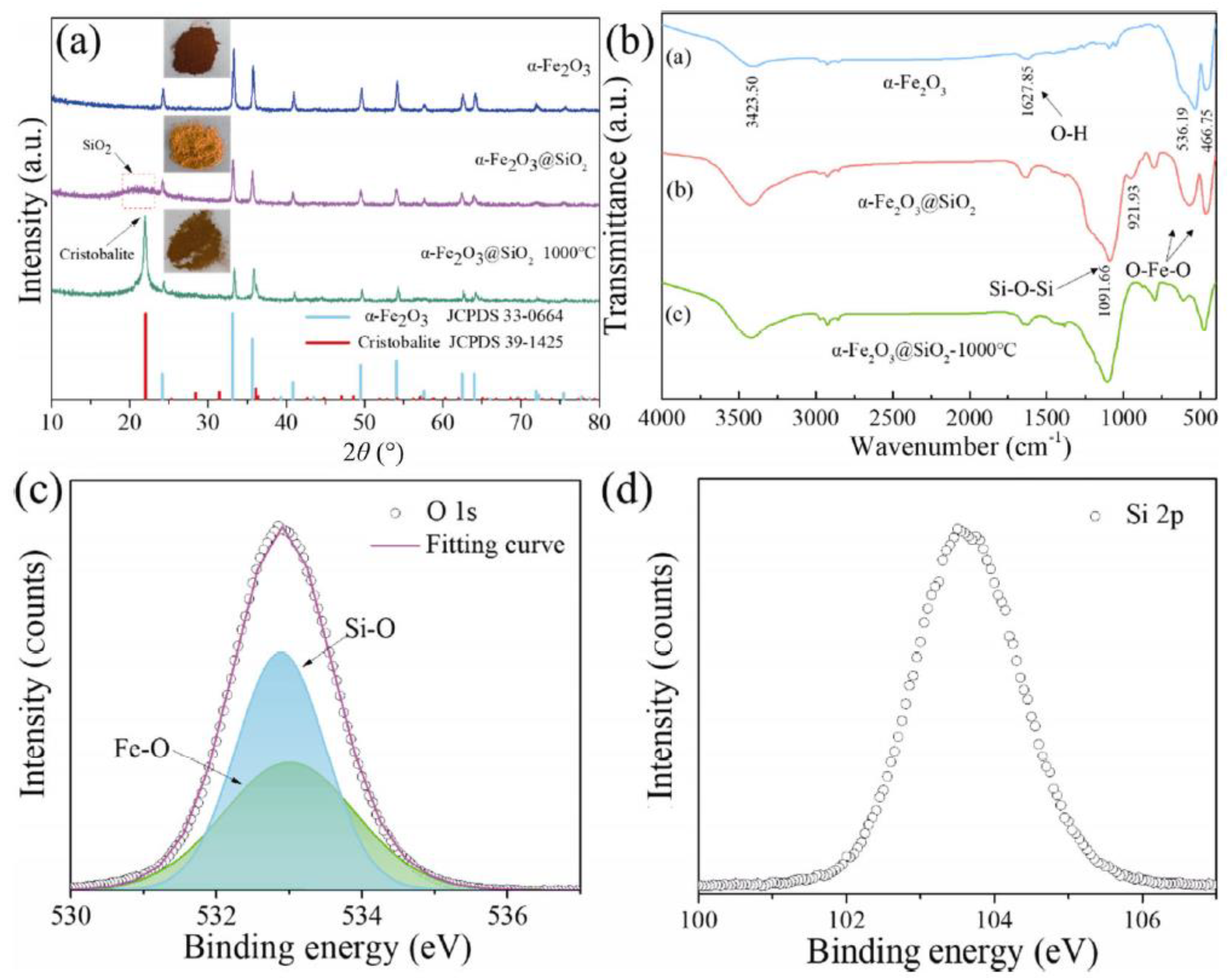 Applnano 04 00006 g005