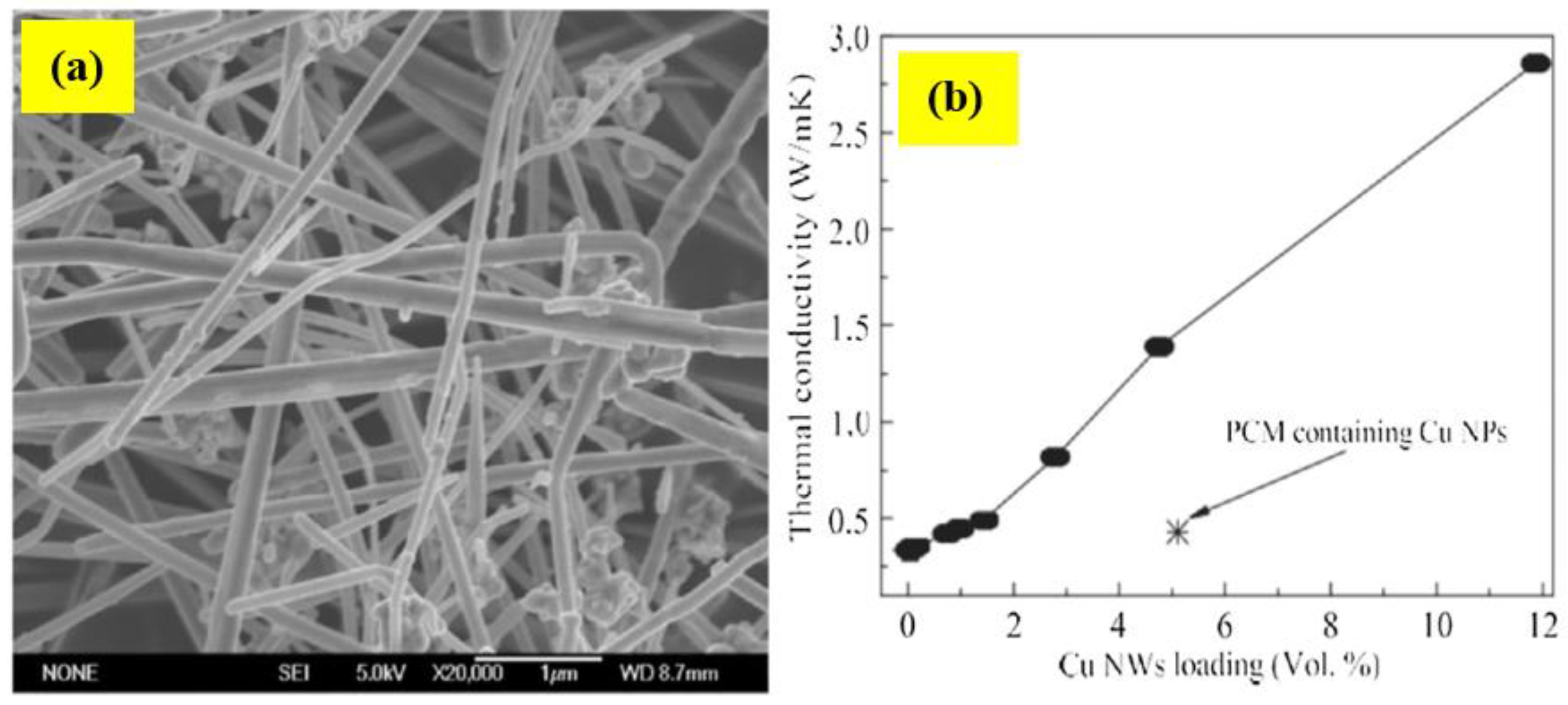 Applnano 04 00006 g011