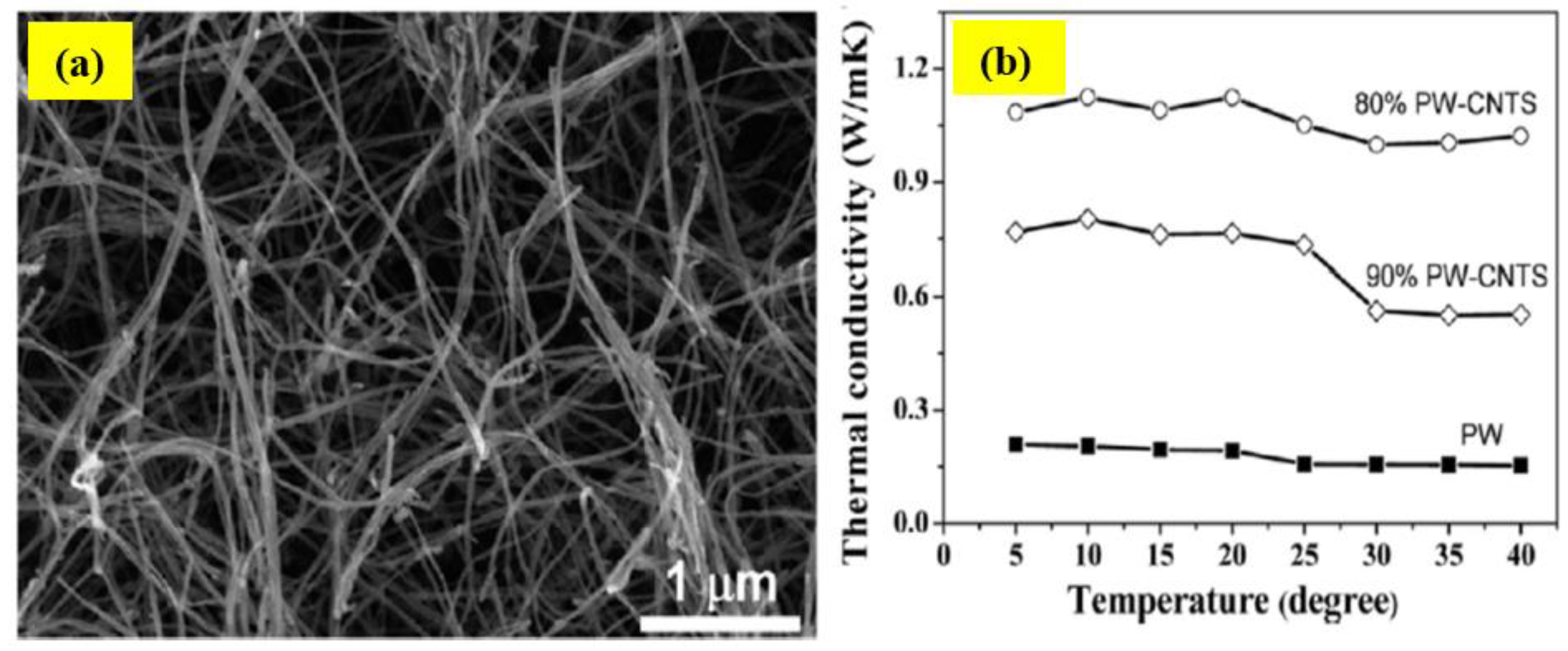 Applnano 04 00006 g014