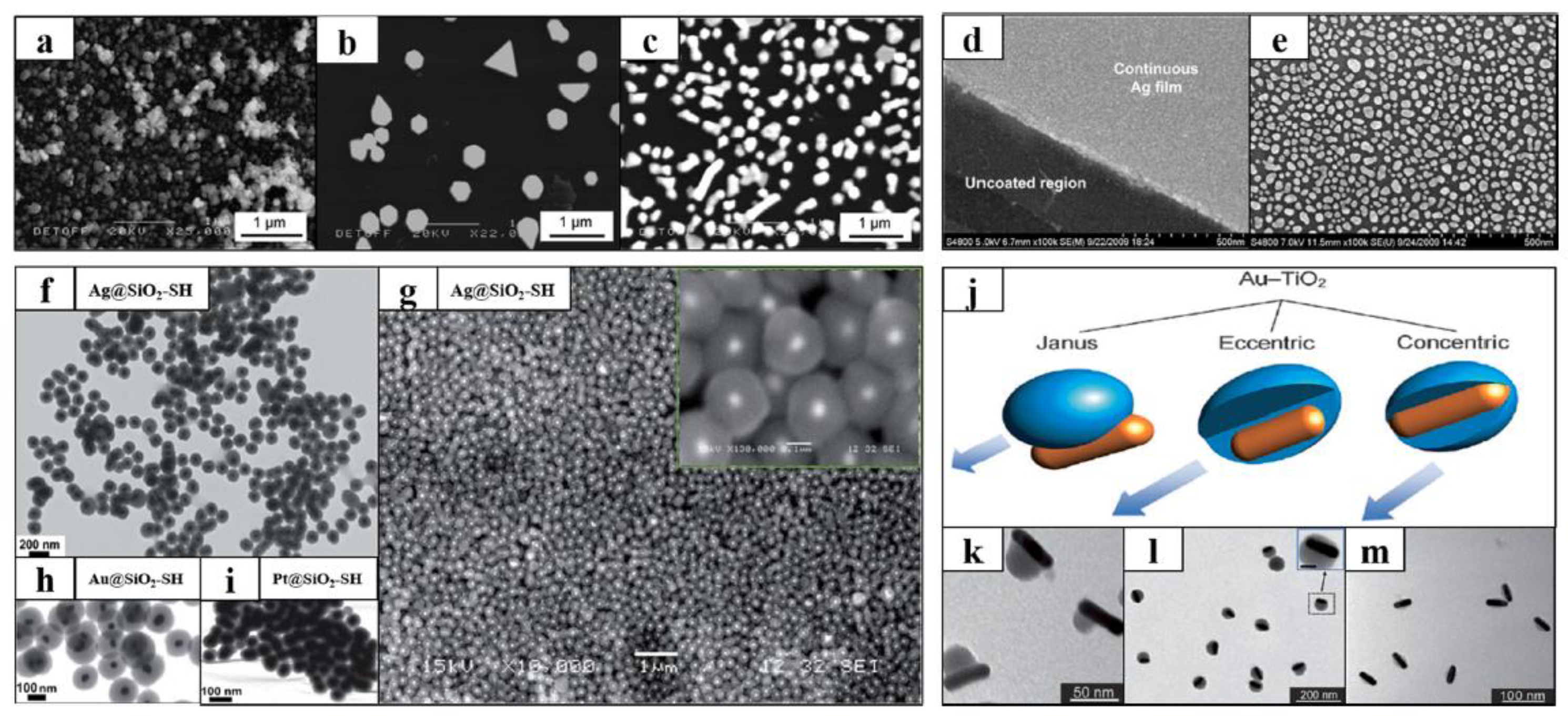 Applnano 04 00006 g020