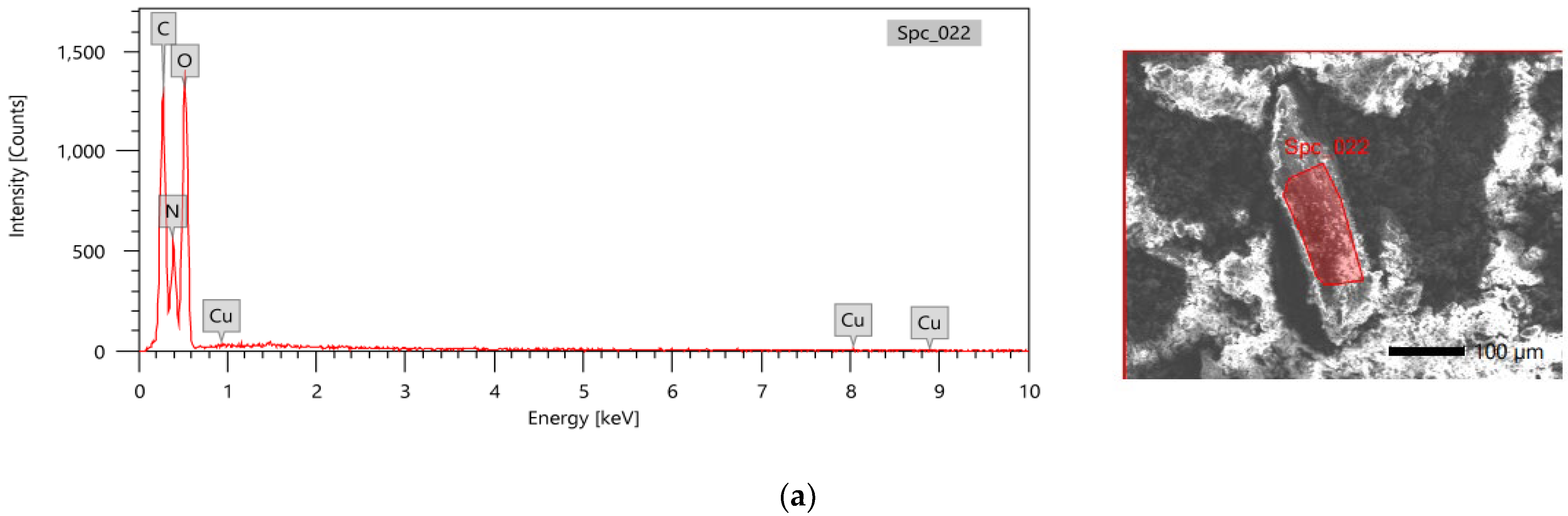 Applnano 04 00007 g002a