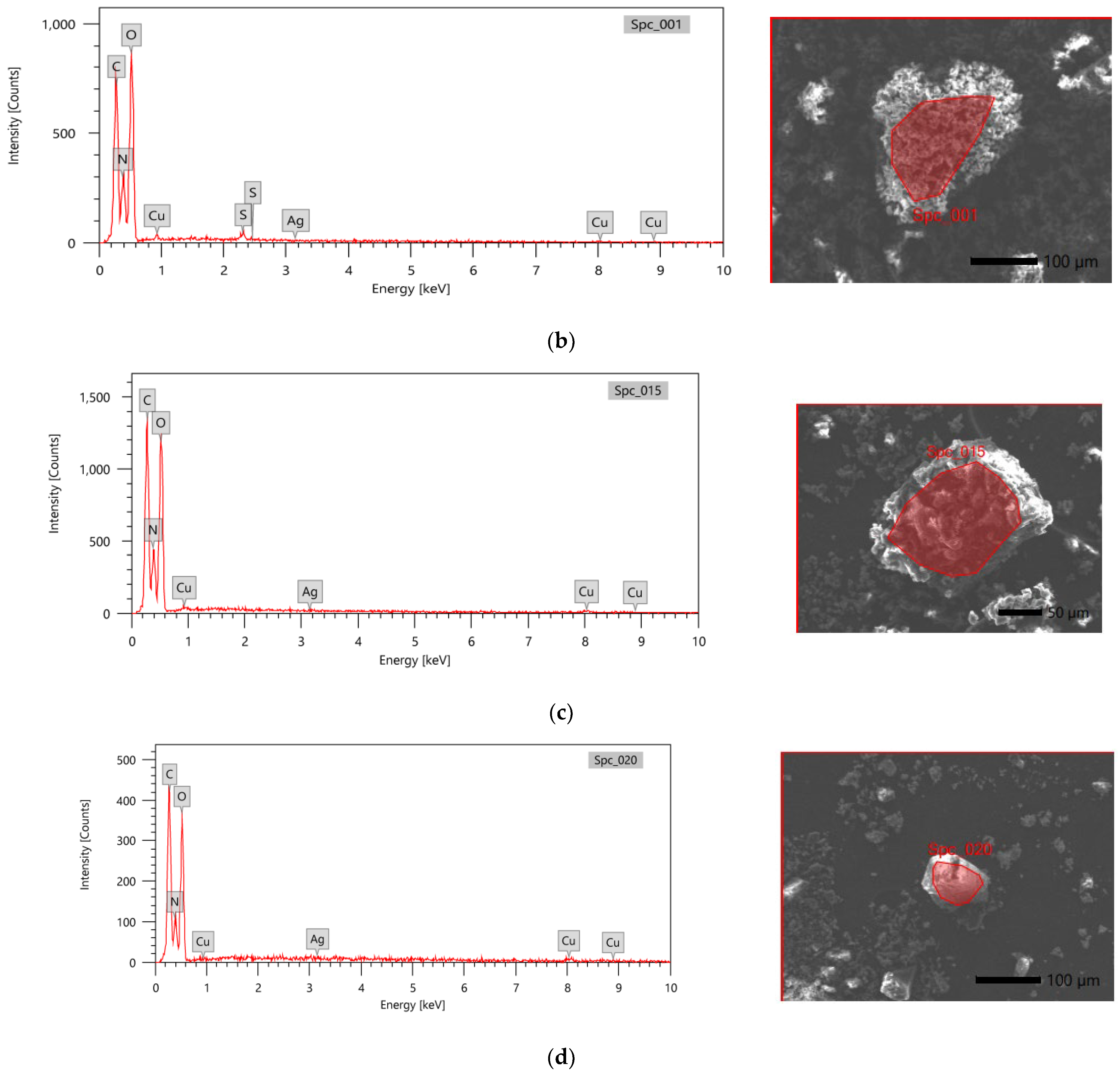 Applnano 04 00007 g002b