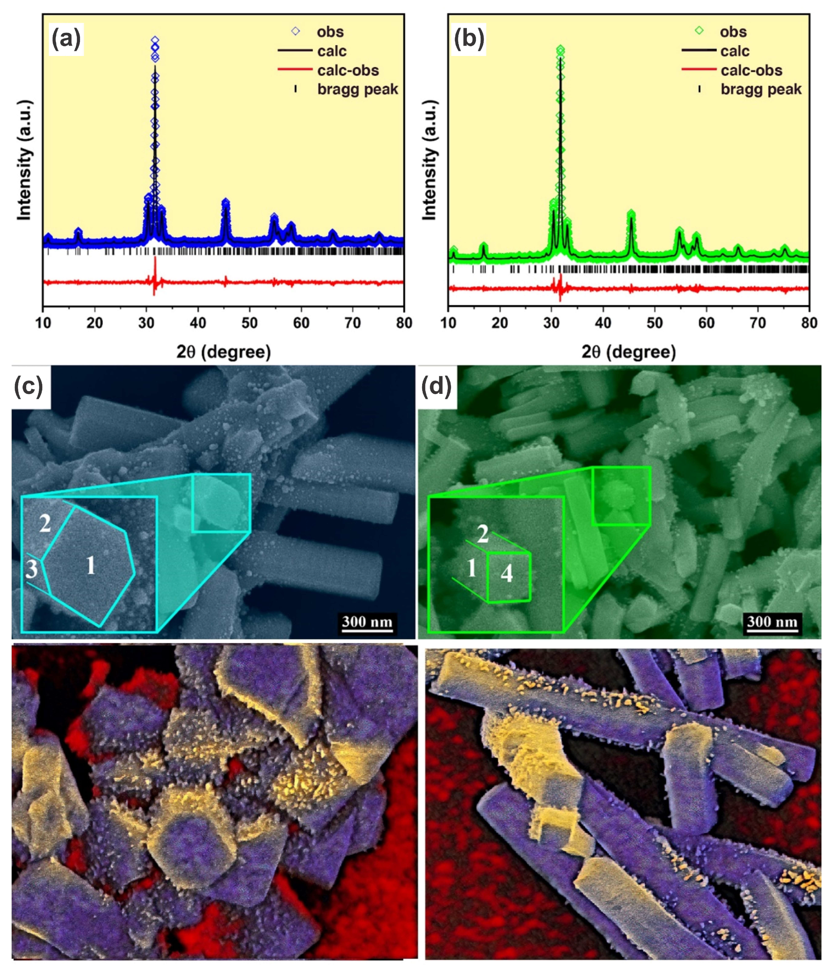 Effect of the Cross-Section Morphology in the Antimicrobial