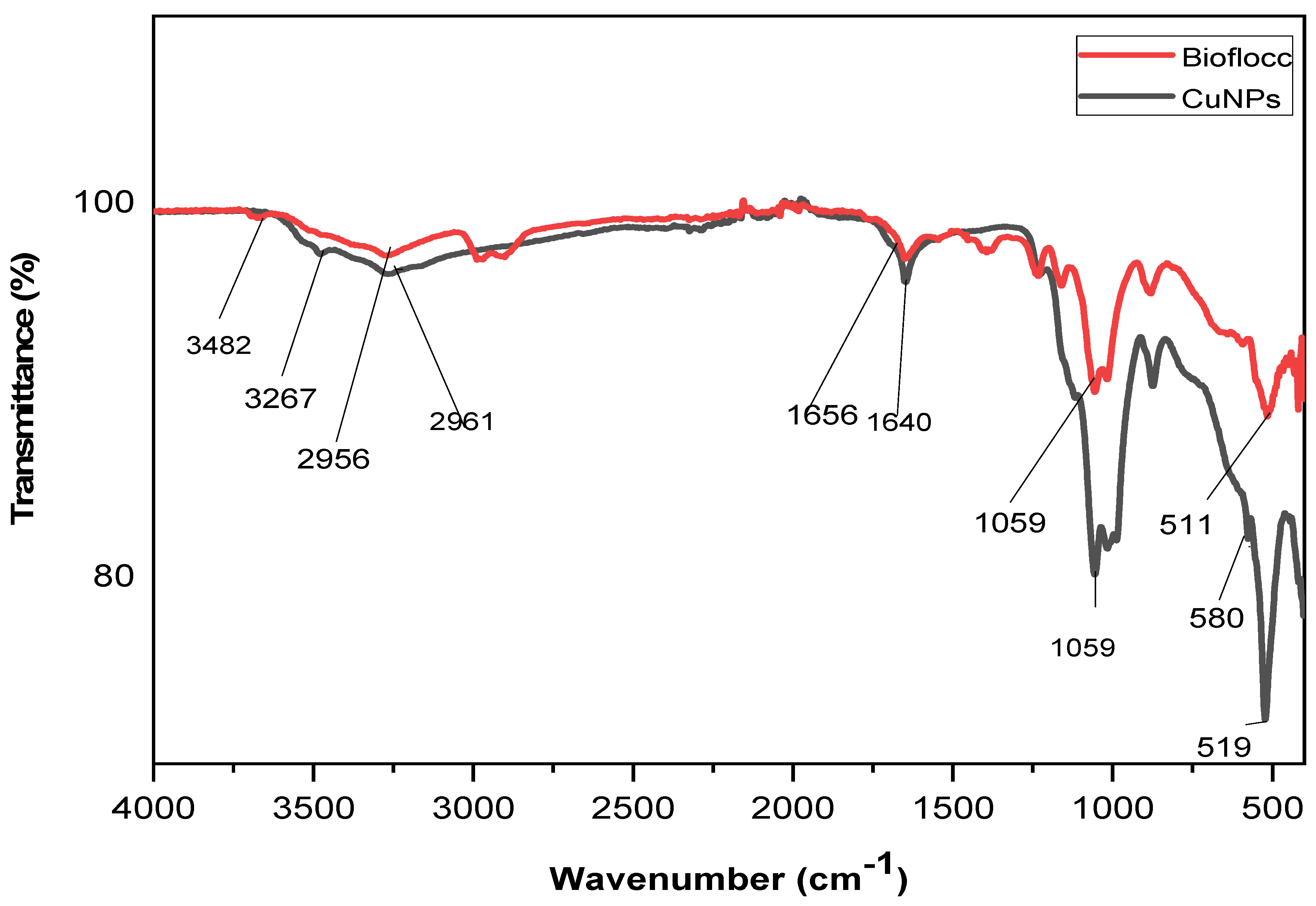 Applnano 04 00013 g001