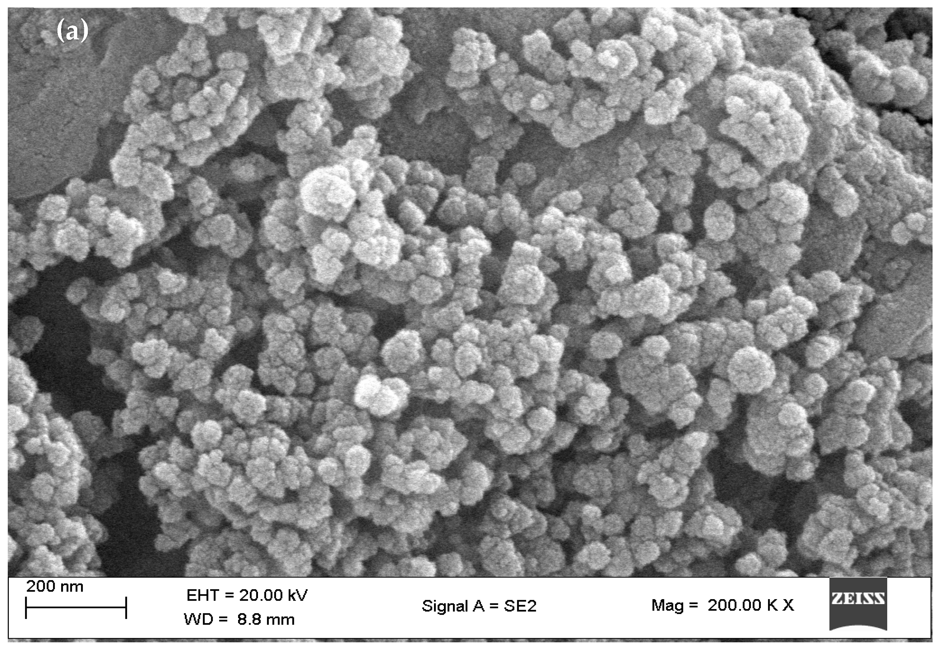 Applnano 04 00013 g006a