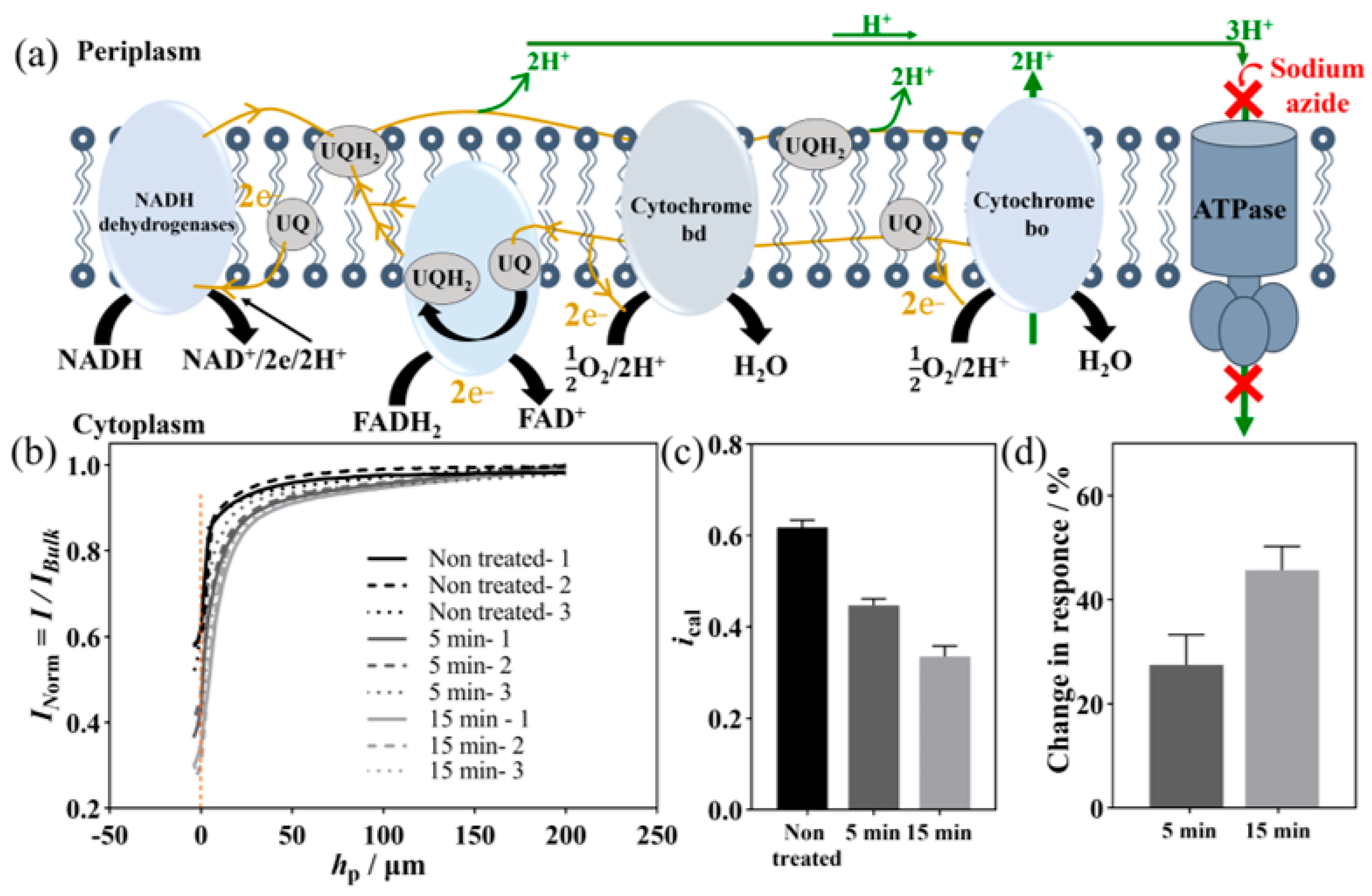Applnano 04 00015 g001