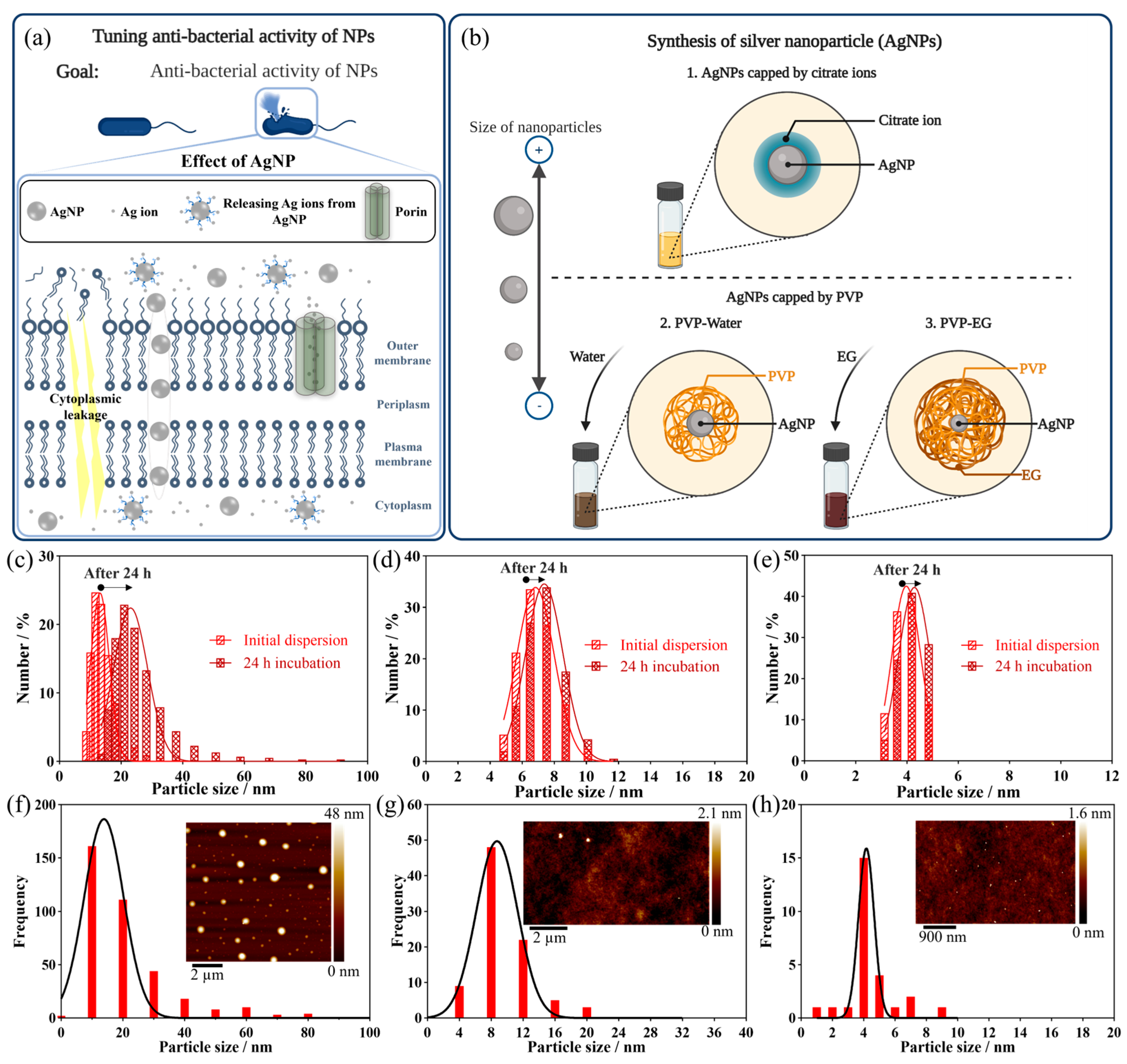 Applnano 04 00015 g003
