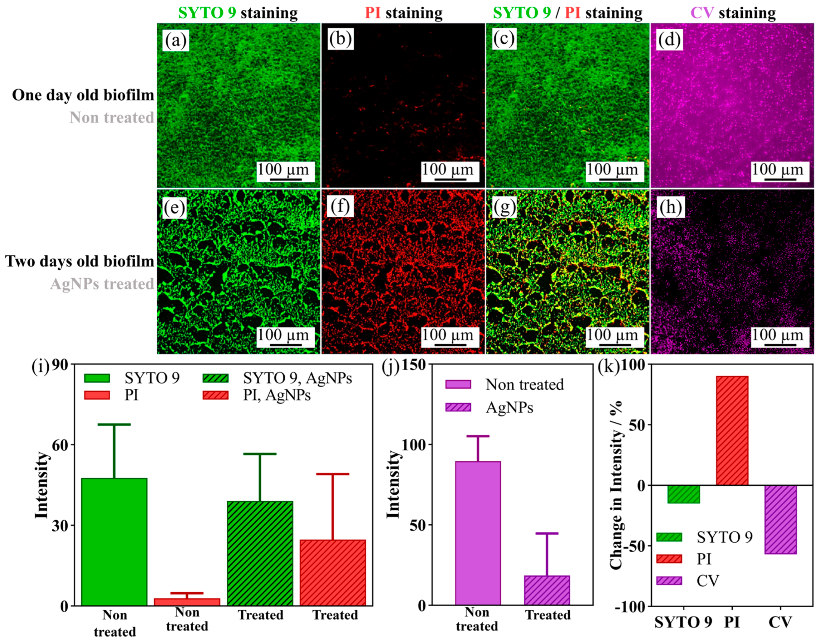 Applnano 04 00015 g005