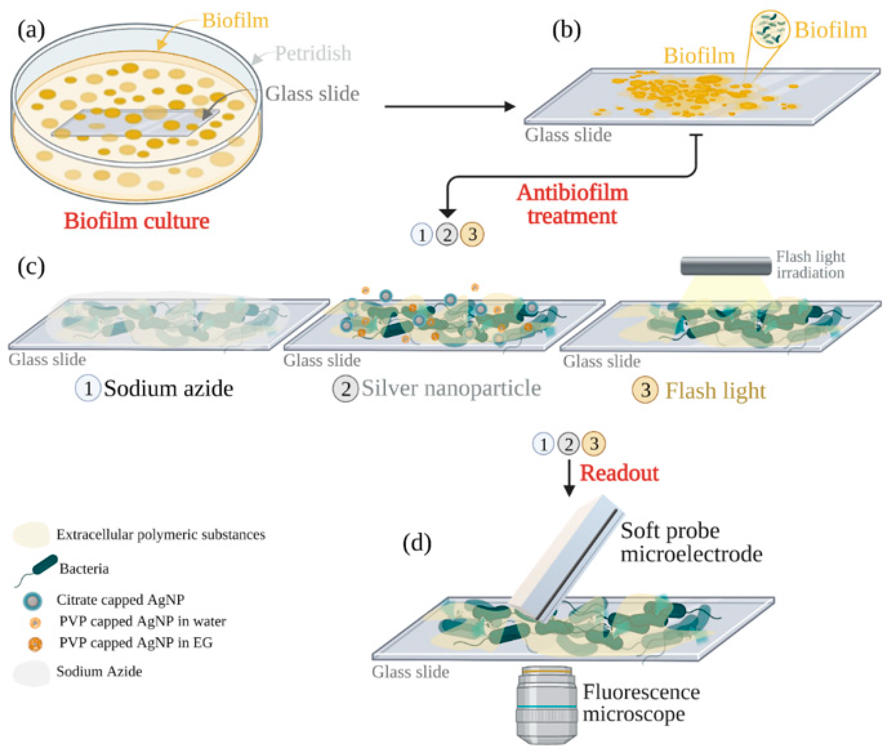 Applnano 04 00015 sch001