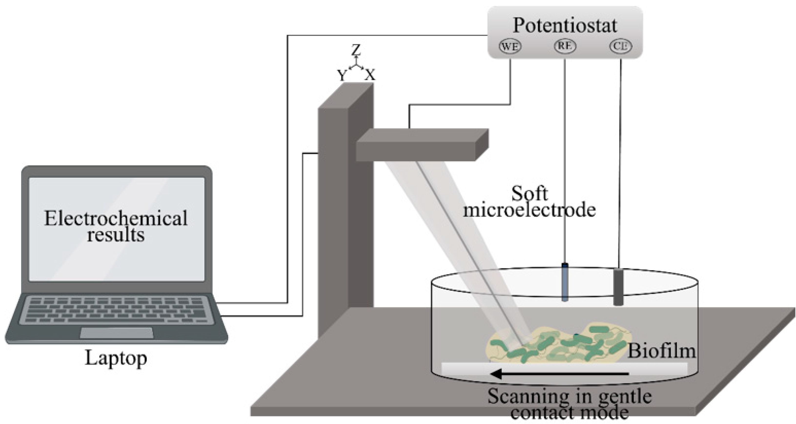 Applnano 04 00015 sch002