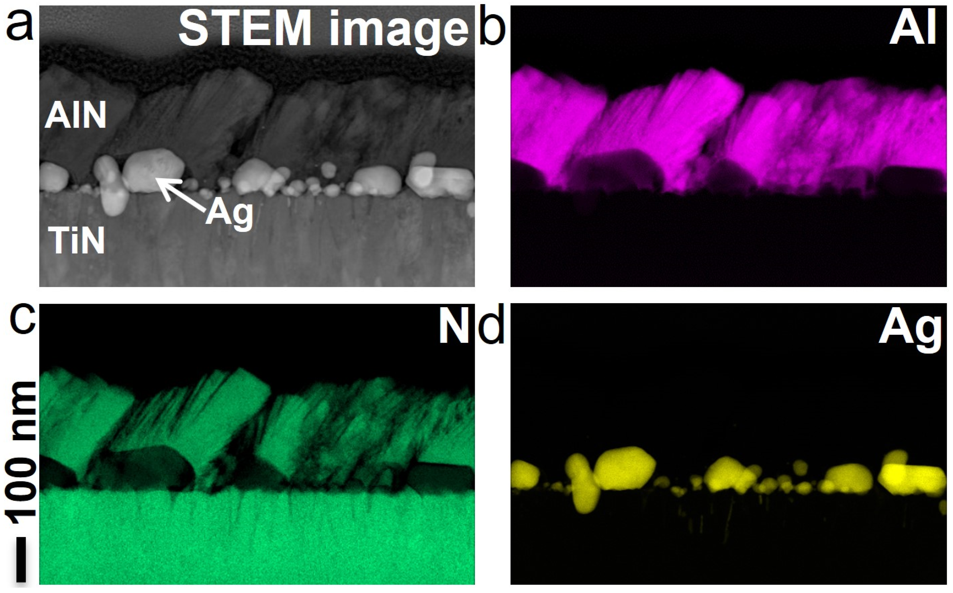 Applnano 04 00016 g002