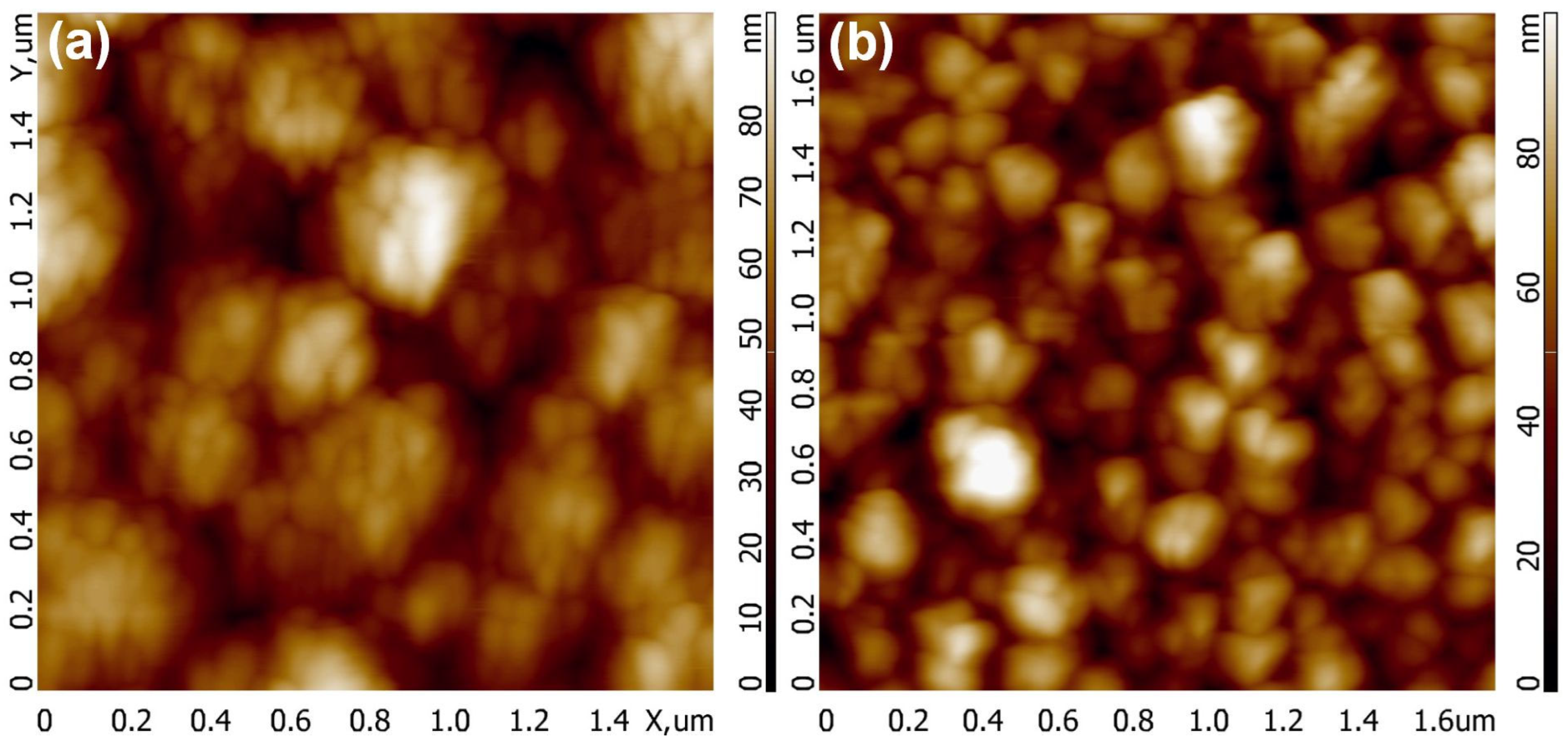 Applnano 04 00016 g006
