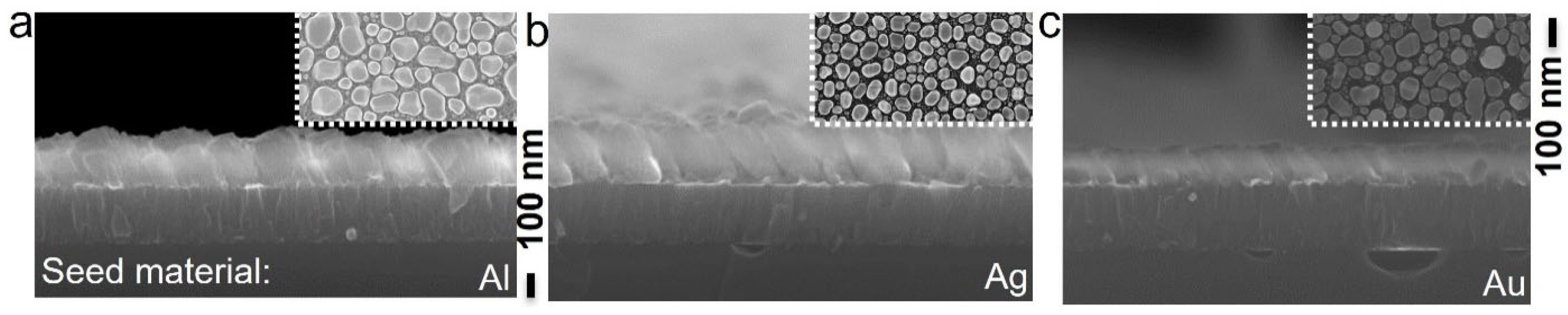 Applnano 04 00016 g007