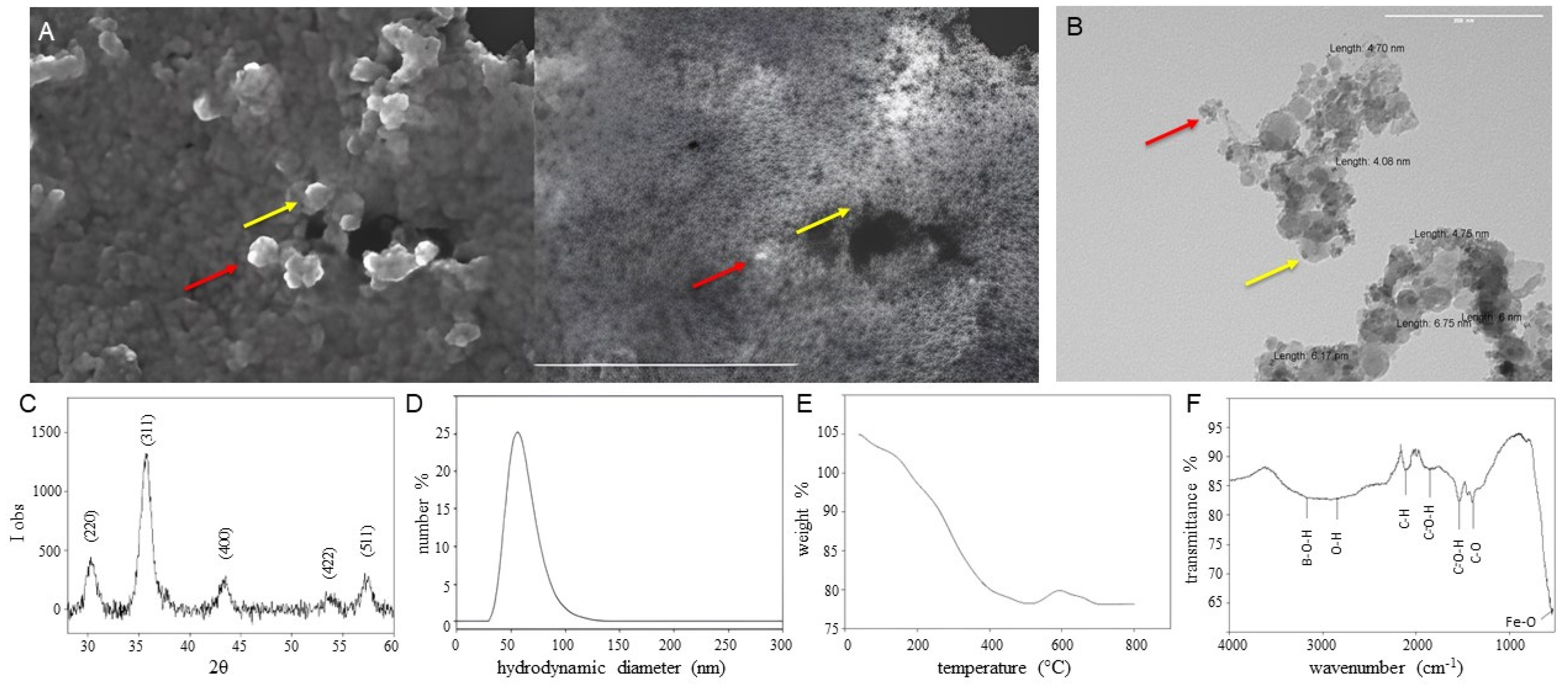 Applnano 05 00004 g002