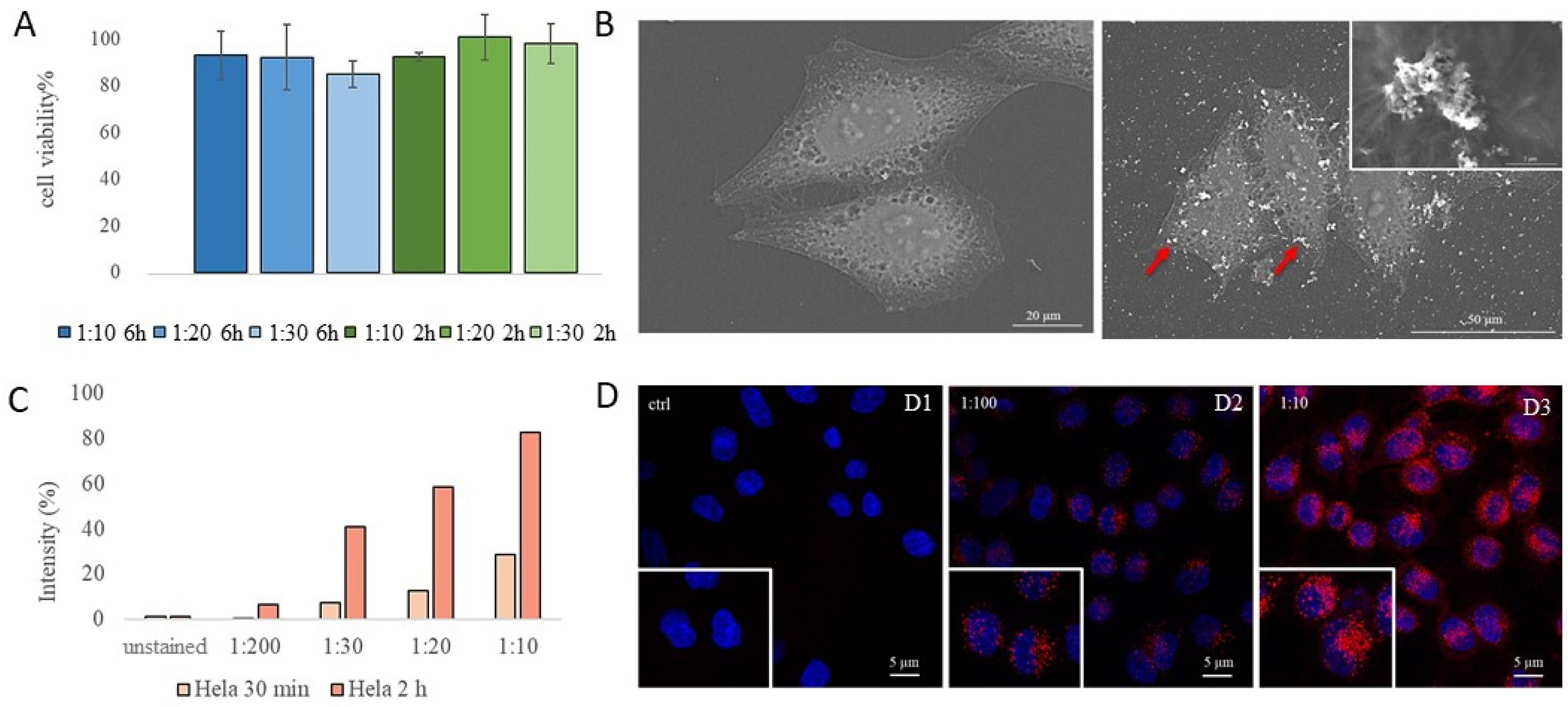 Applnano 05 00004 g003