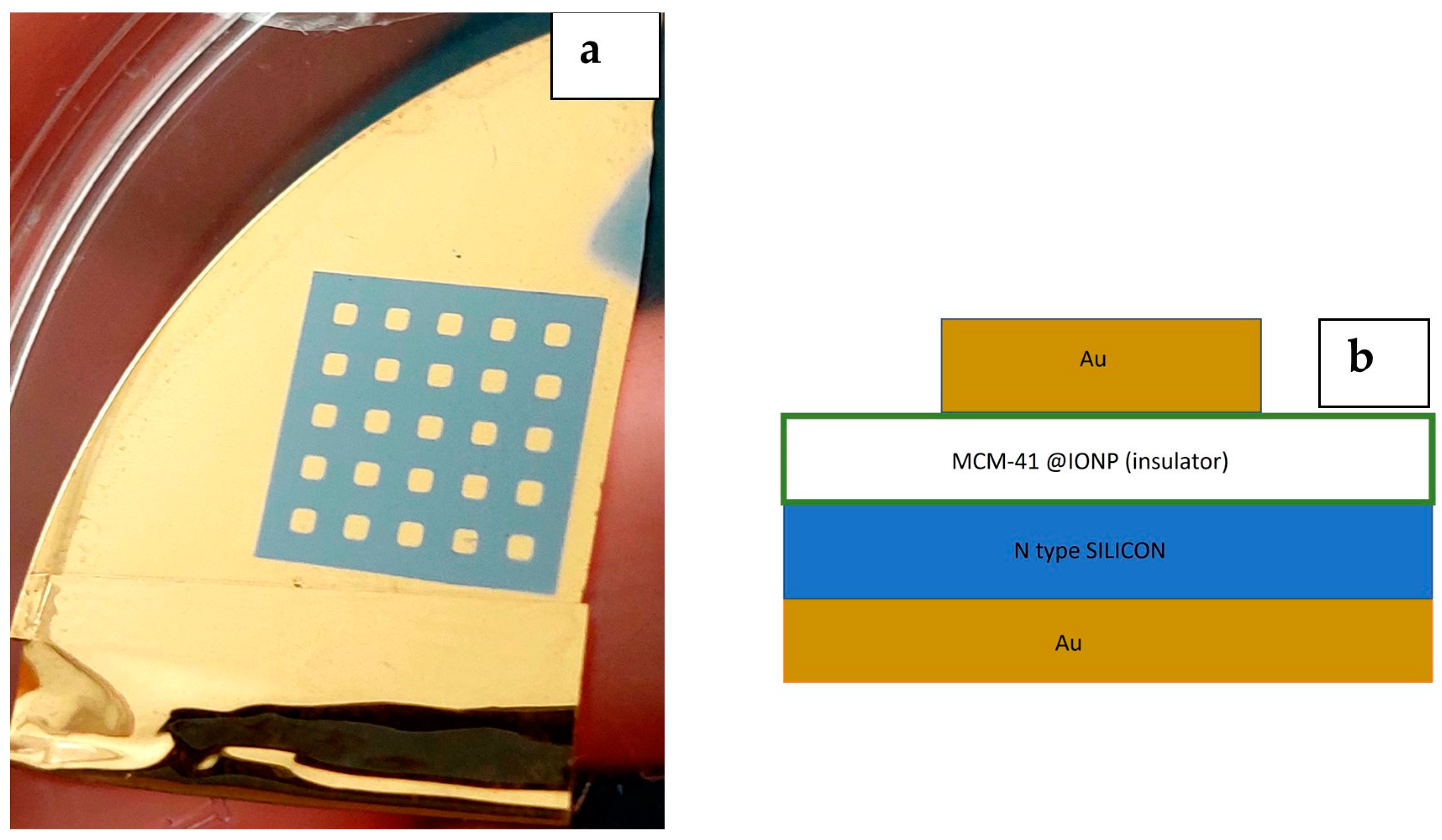Applnano 05 00006 g001
