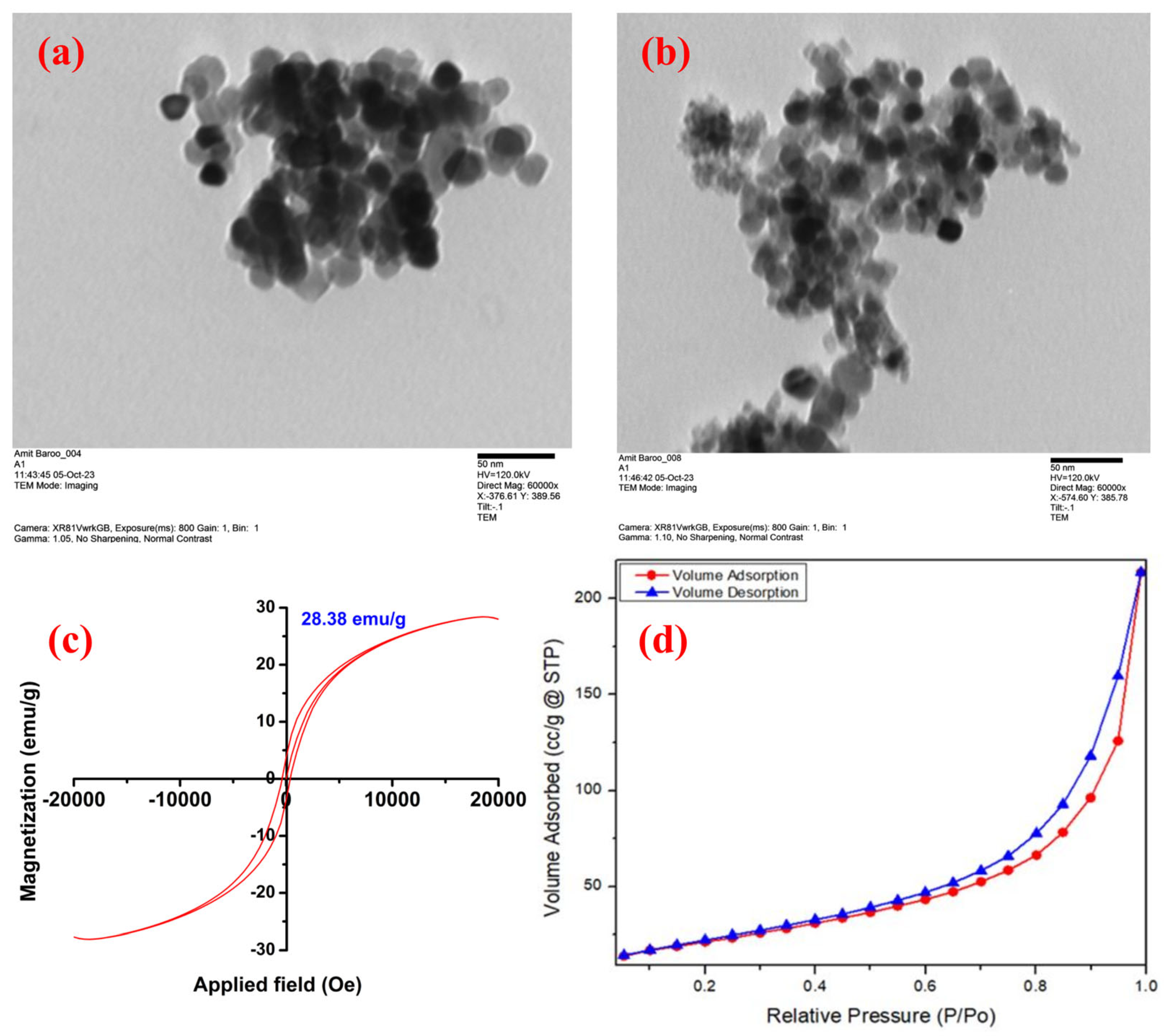 Applnano 05 00009 g003
