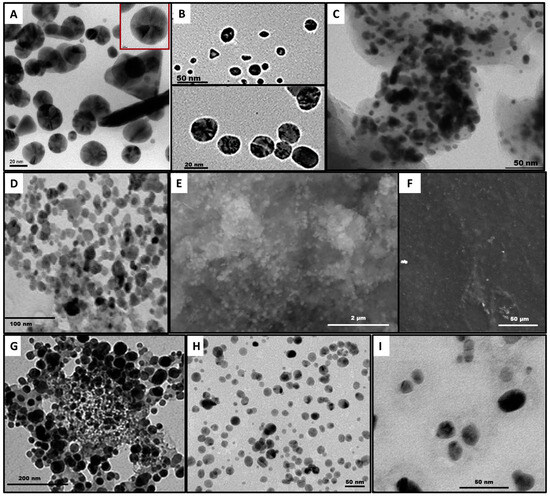 Use of Metallic Nanoparticles Synthesized from Plant Use of Metallic Nanoparticles Synthesized from Plant