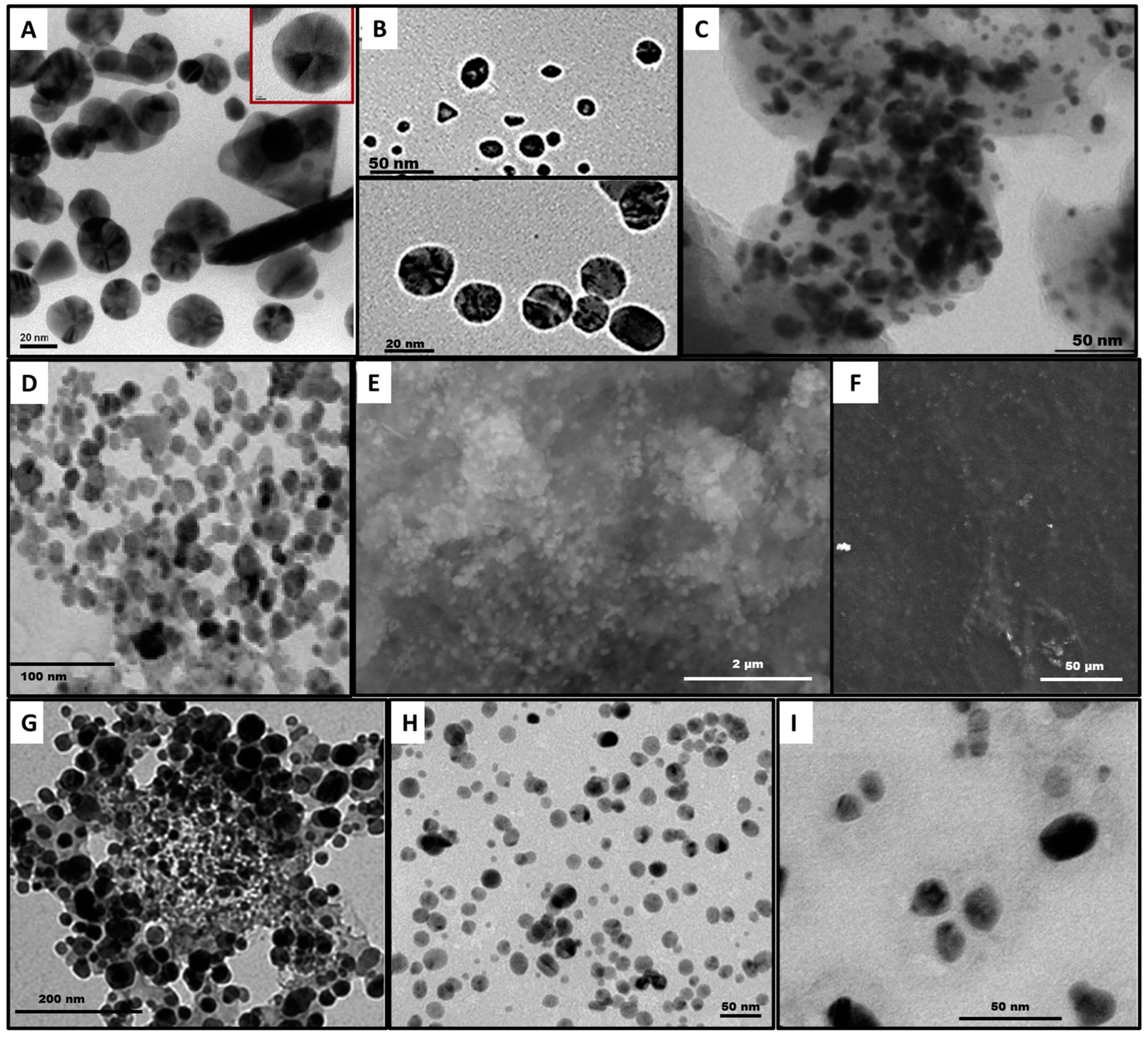 Applnano 05 00014 g004