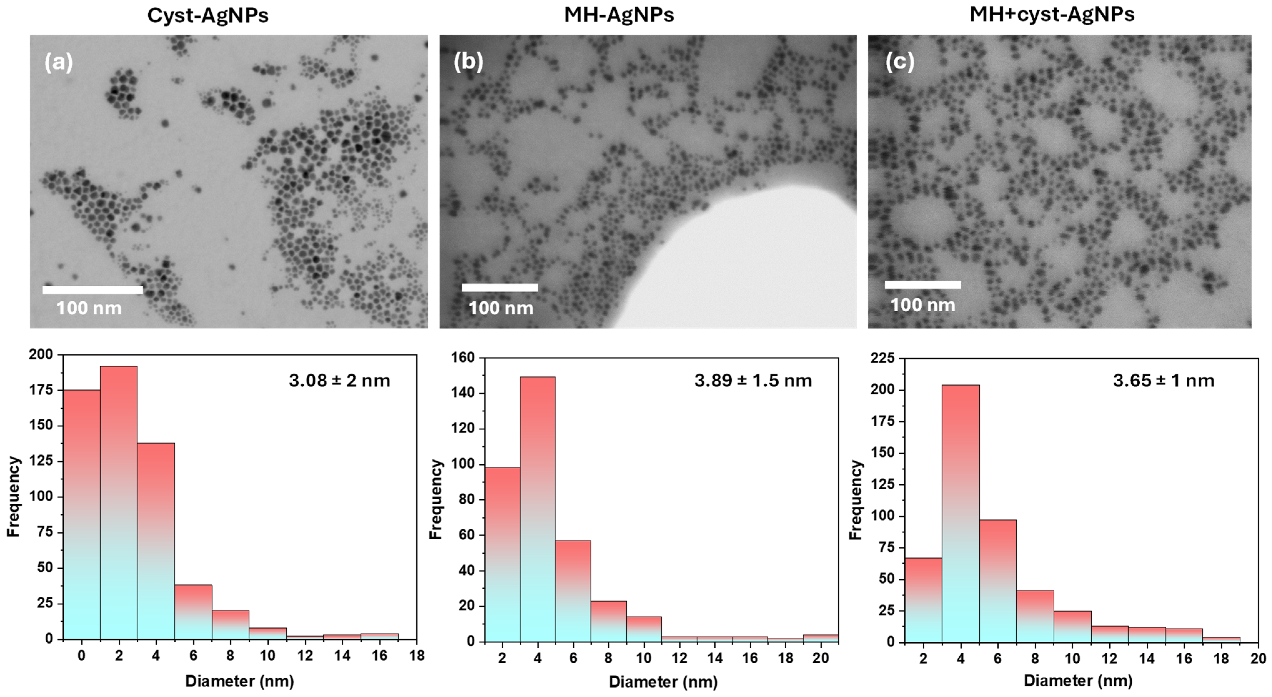 Applnano 05 00015 g003