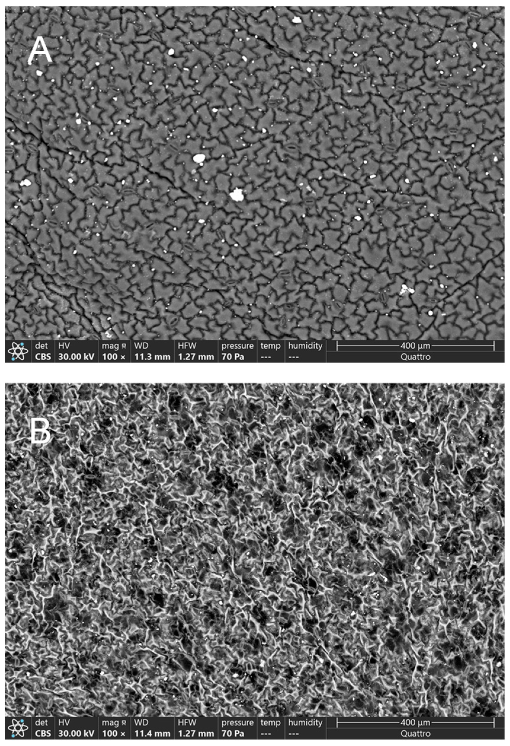 Applnano 05 00019 g002