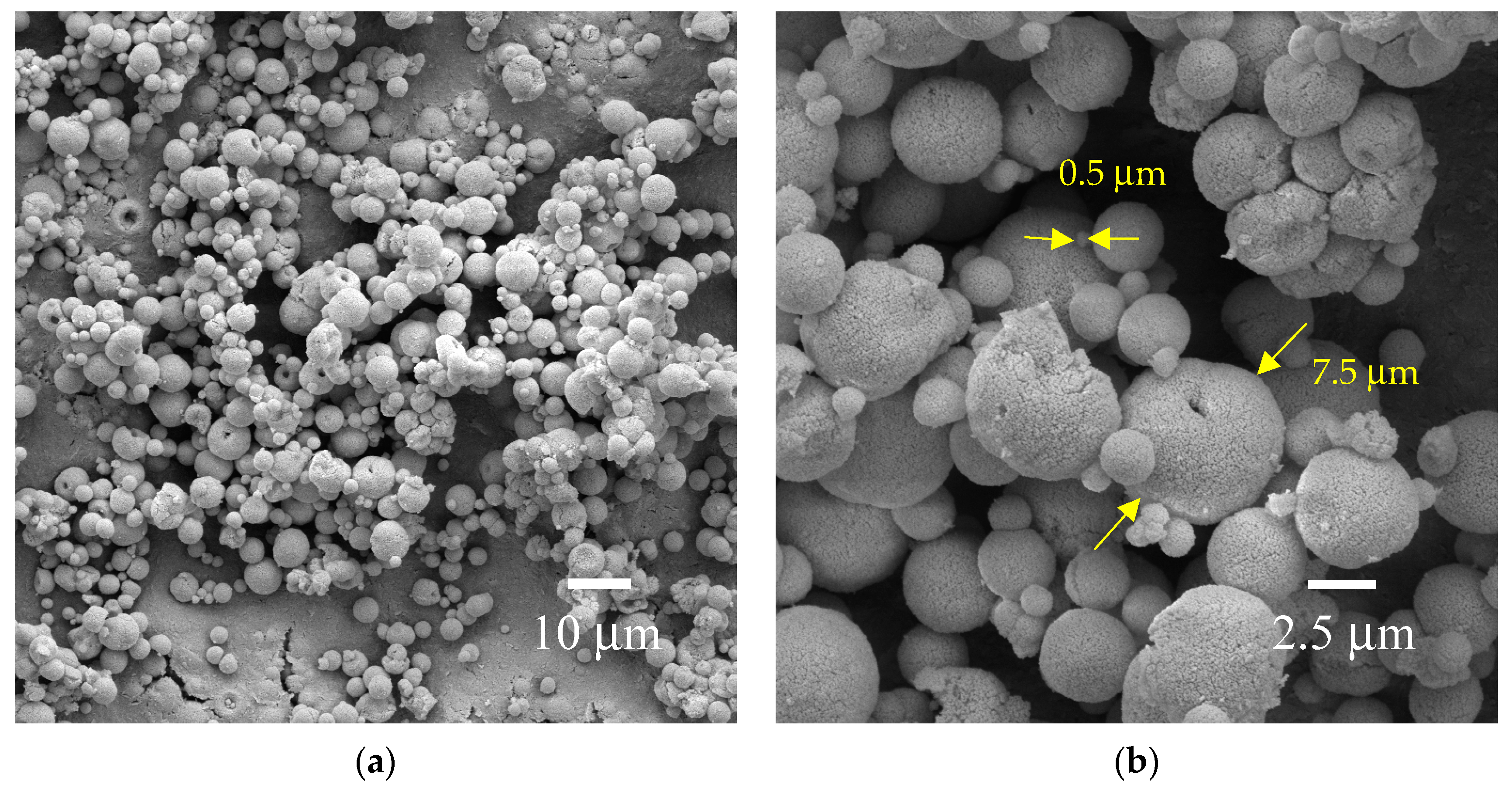 Applnano 06 00001 g003a