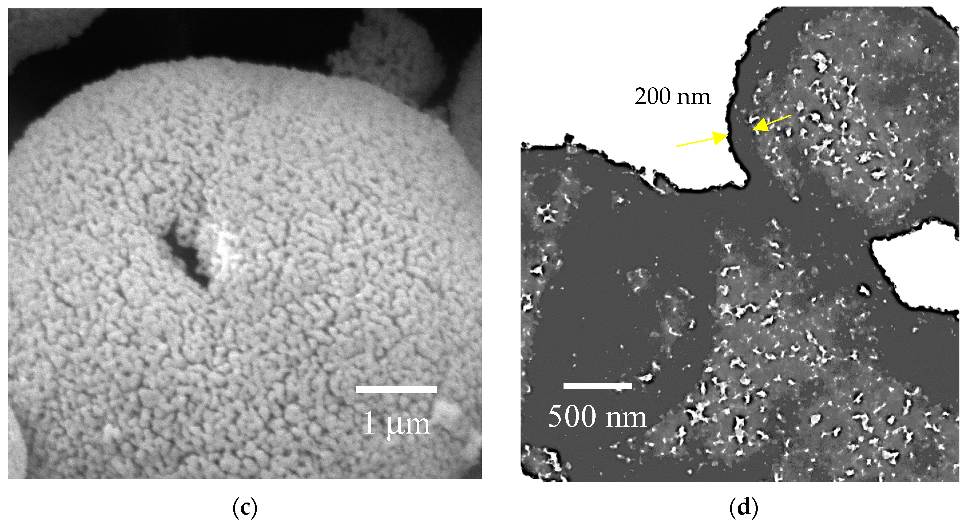 Applnano 06 00001 g003b