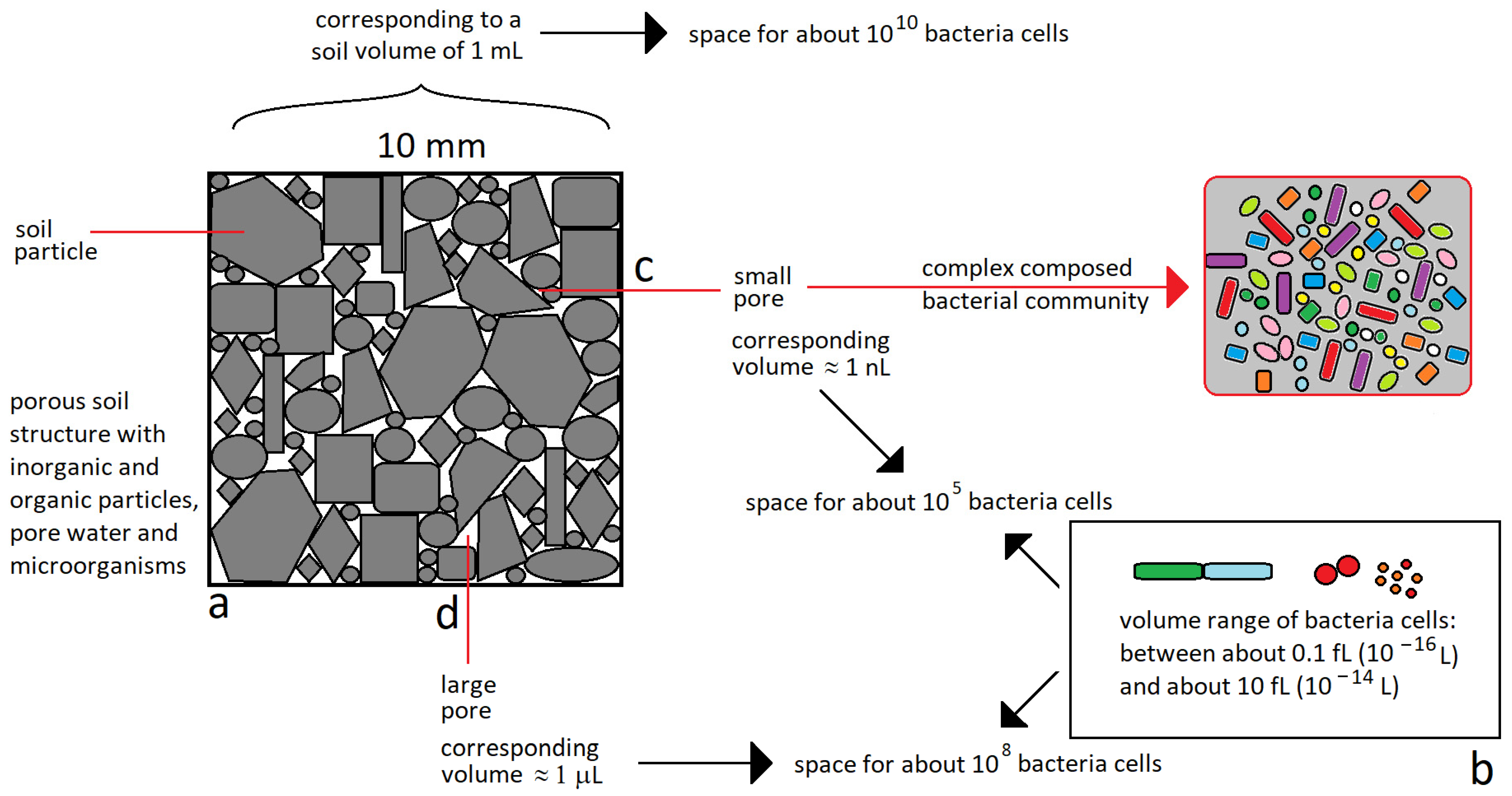 Applnano 06 00002 g002