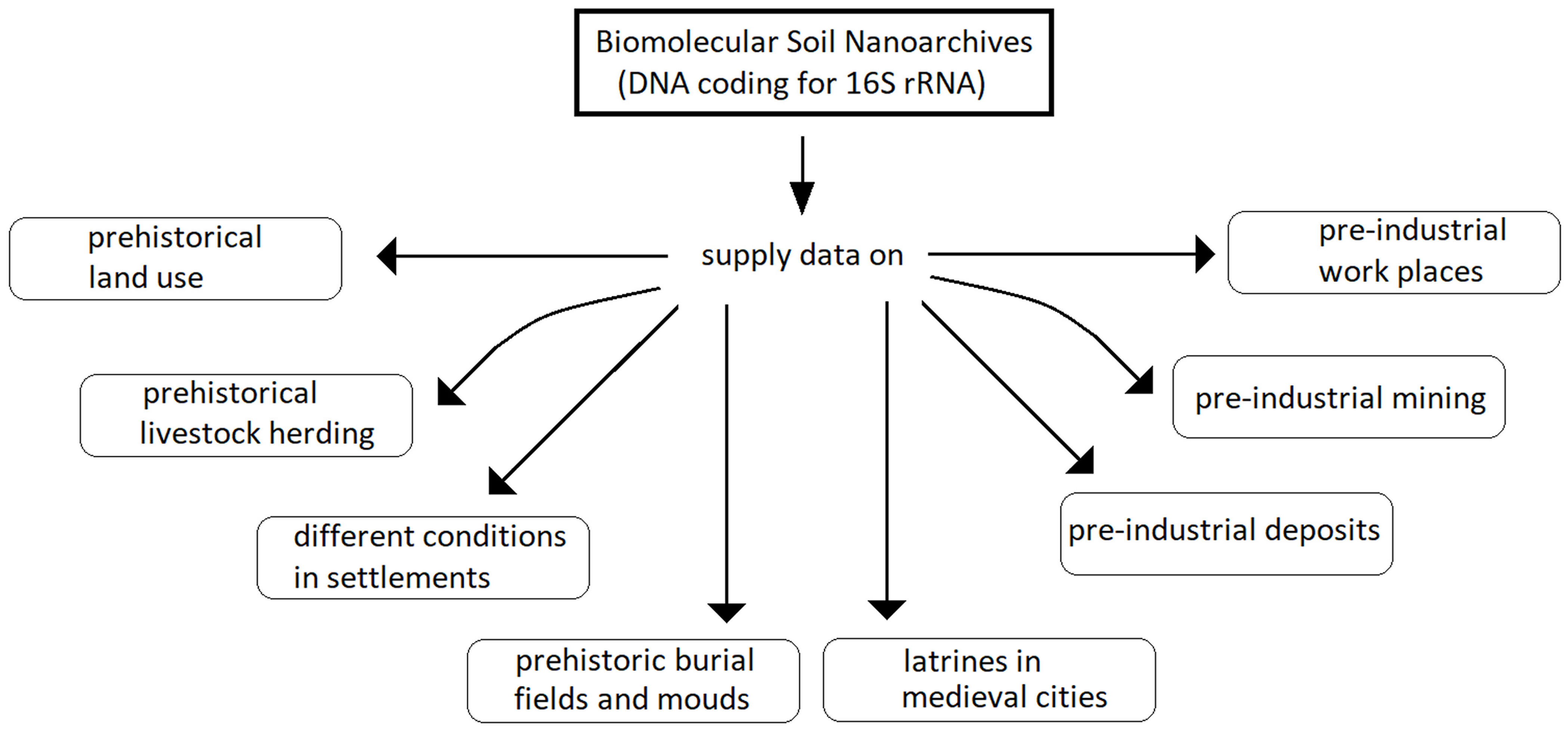 Applnano 06 00002 g005
