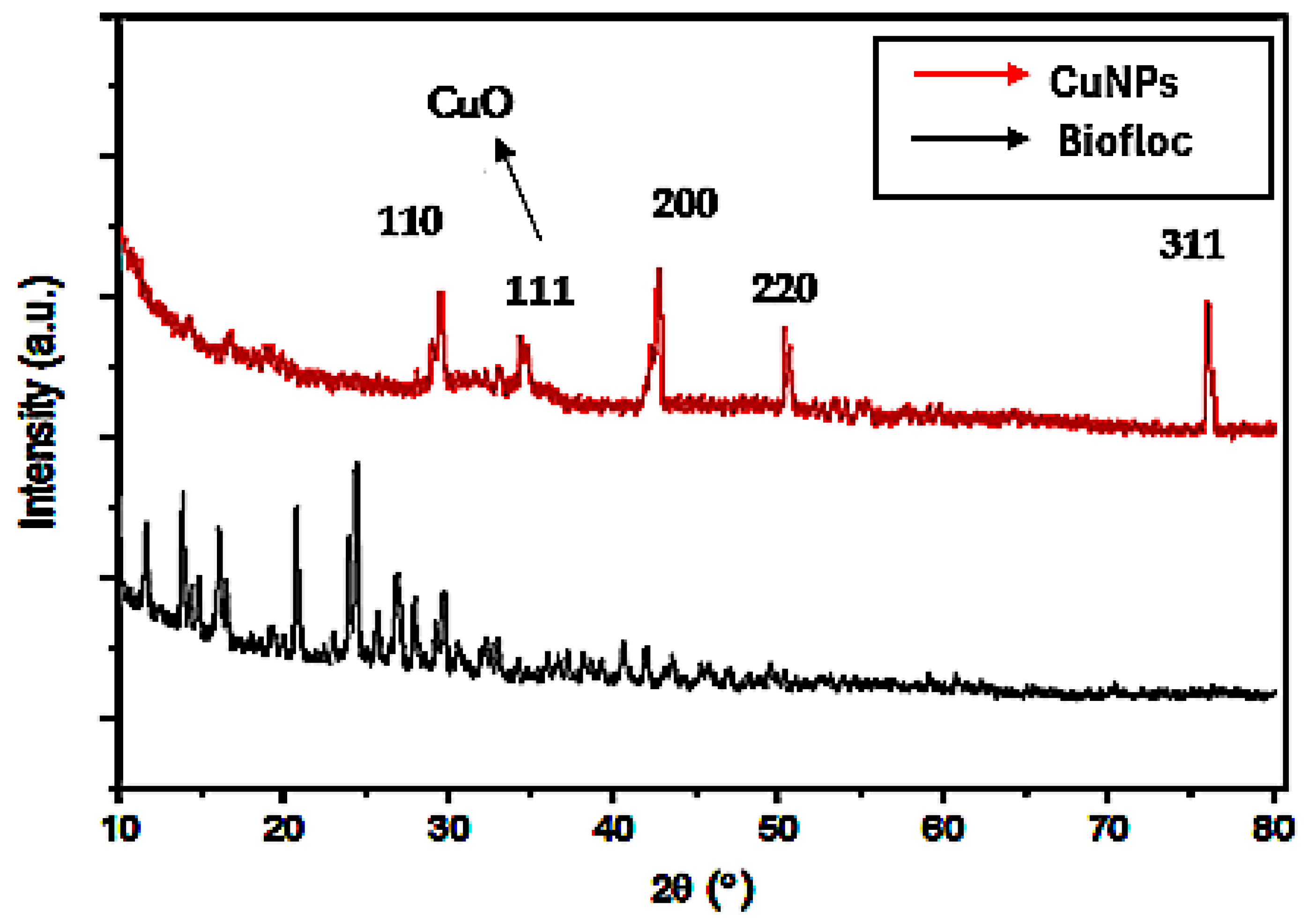 Applnano 06 00005 g004