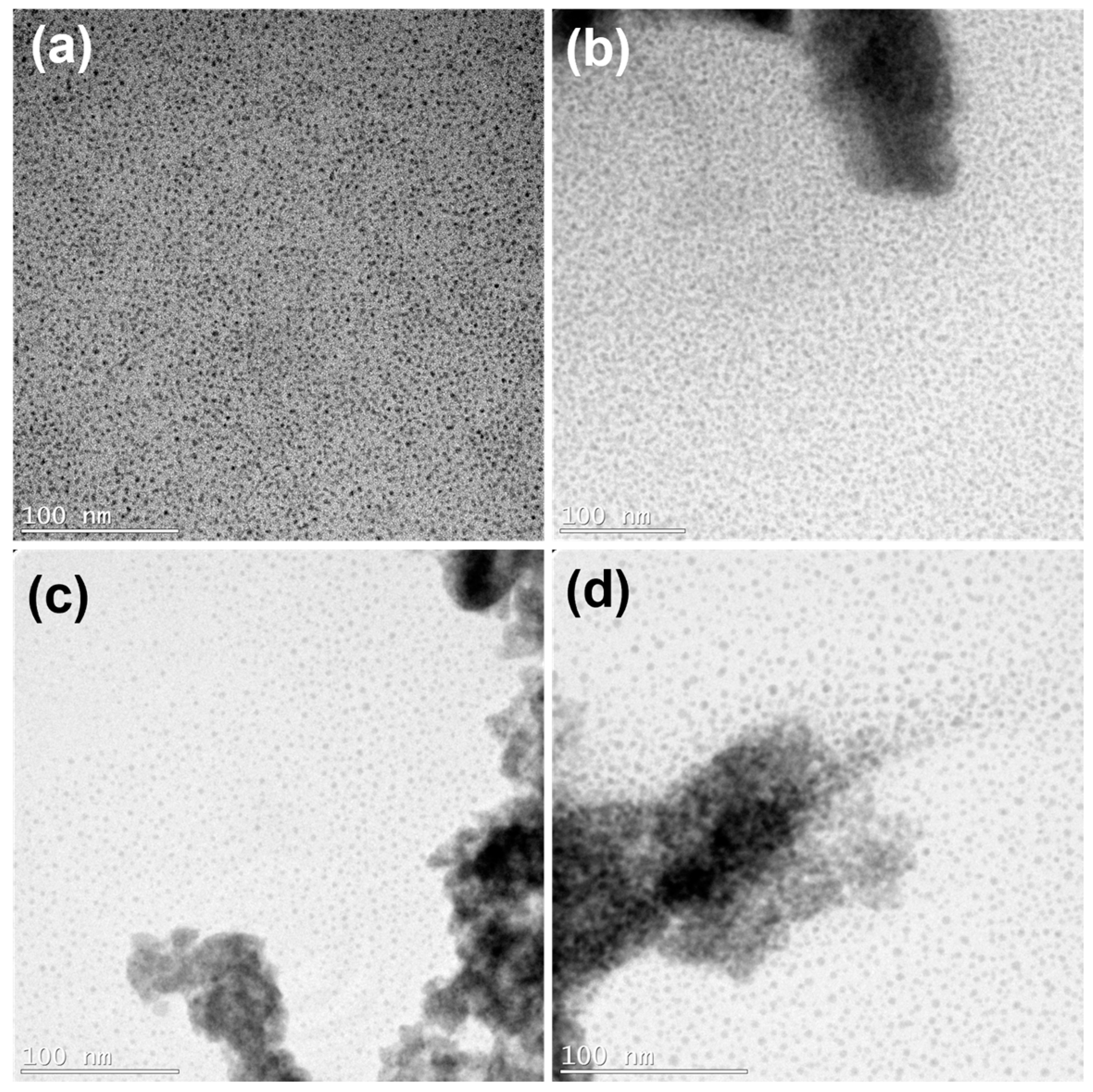 Applnano 06 00007 g002