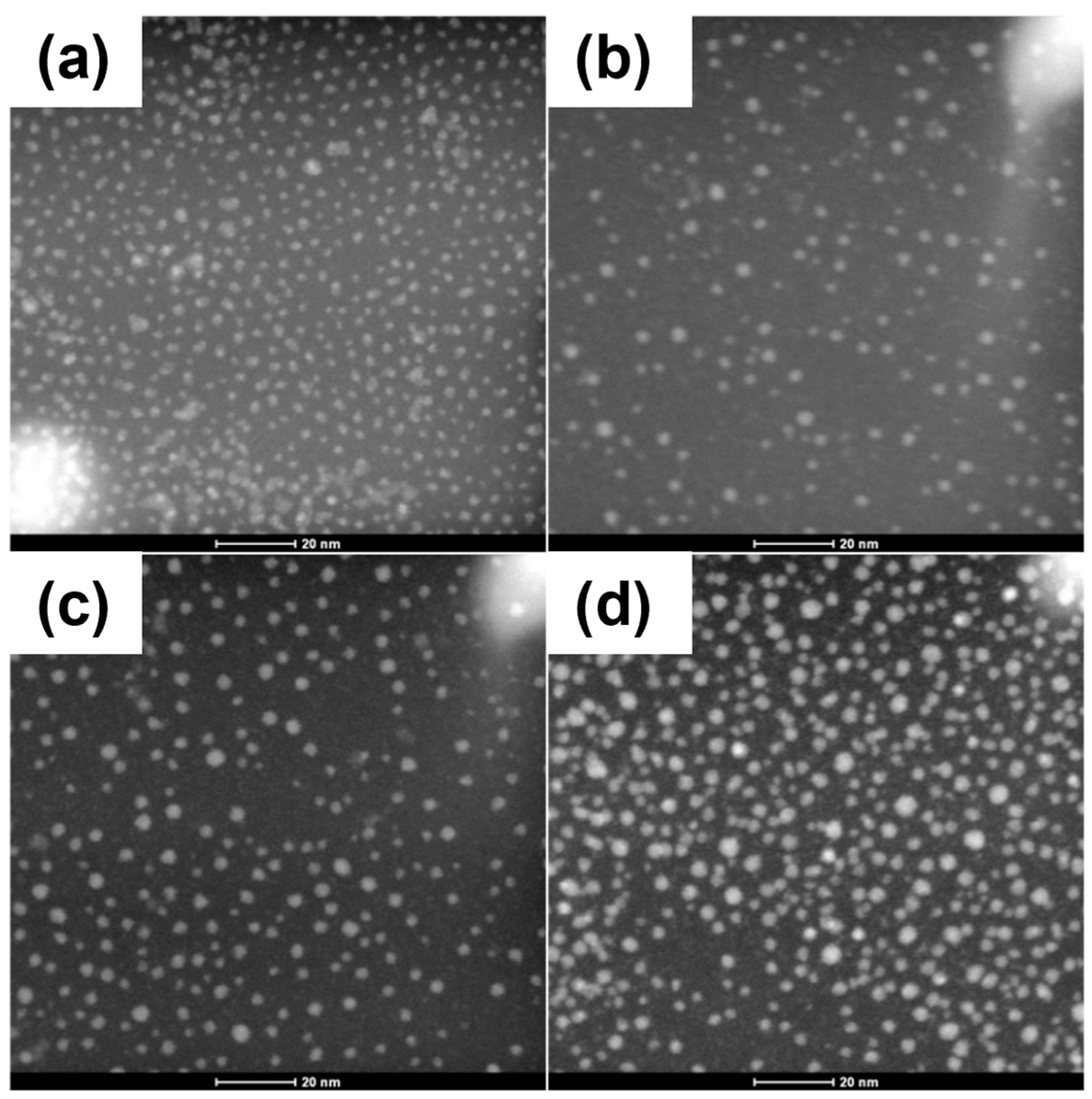 Applnano 06 00007 g003