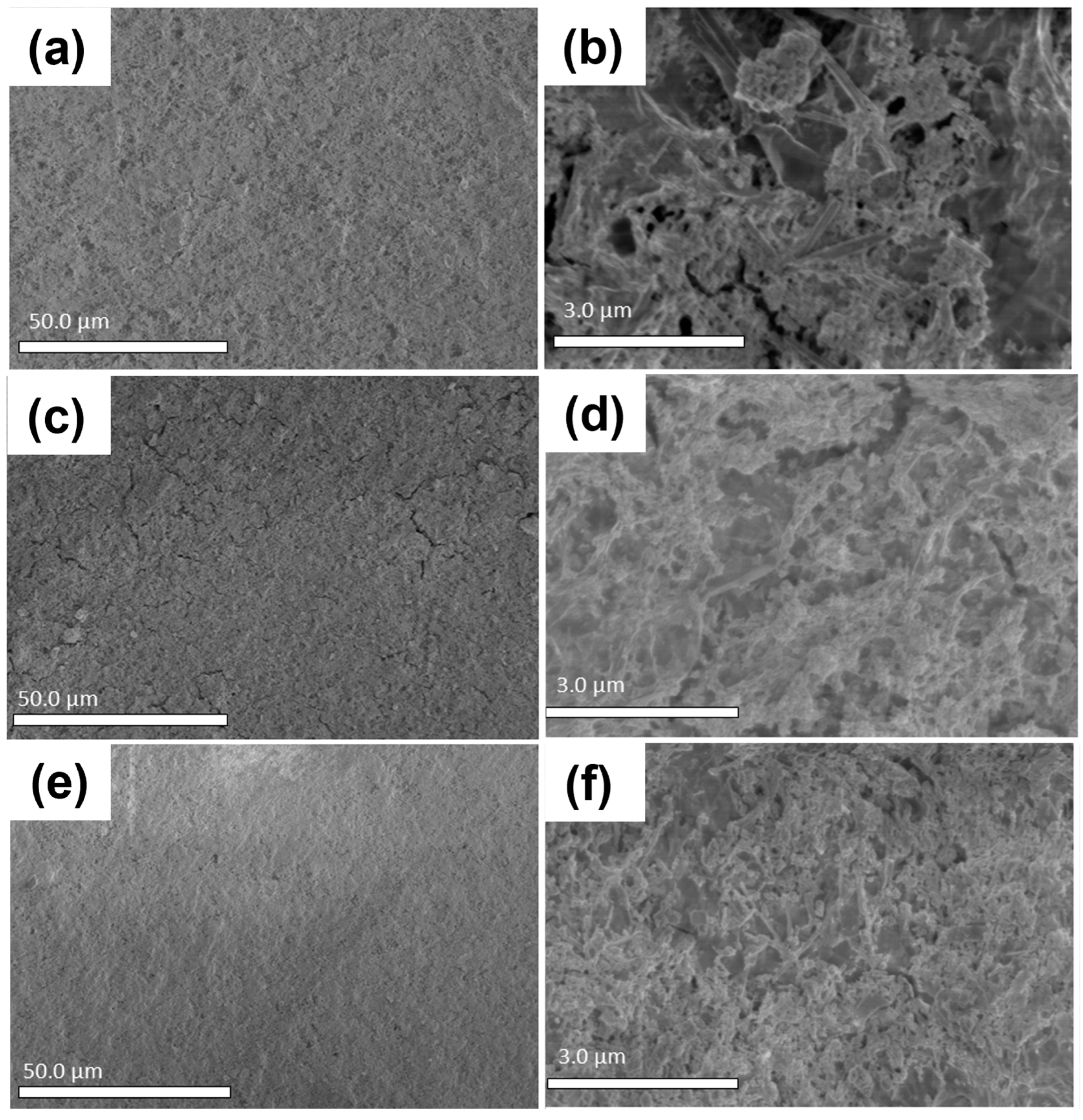 Applnano 06 00007 g011